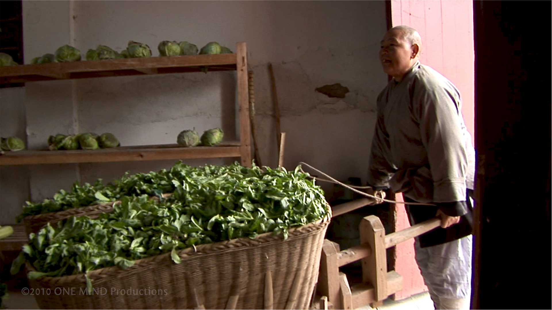 ALMS_stills_storeroom_wm.png