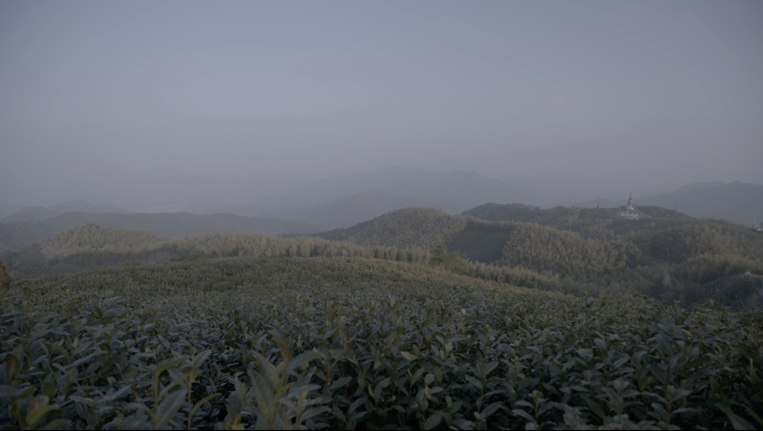 TEA_2K_screenshot4-03-29 at 4.47.44 PM.png