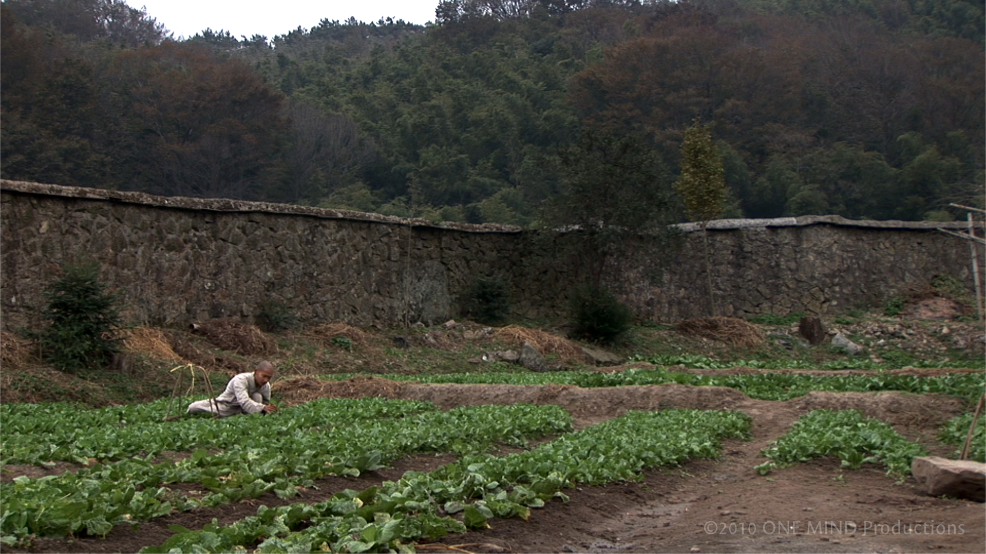 ALMS_stills_garden_wide_wm.png