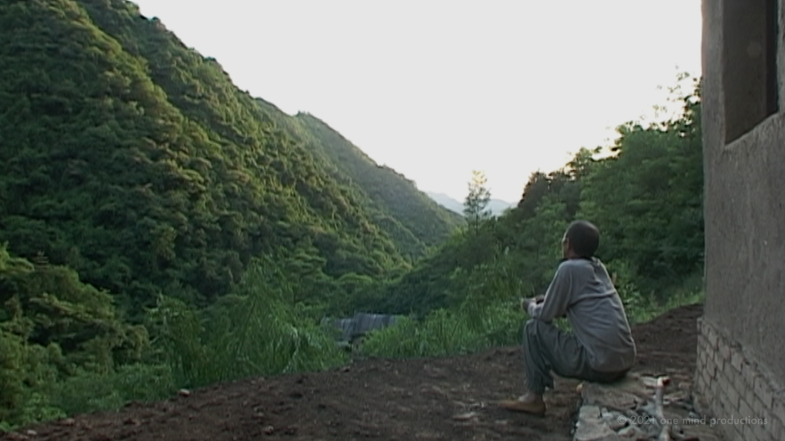 TMP_stills_hanshan_looking.png