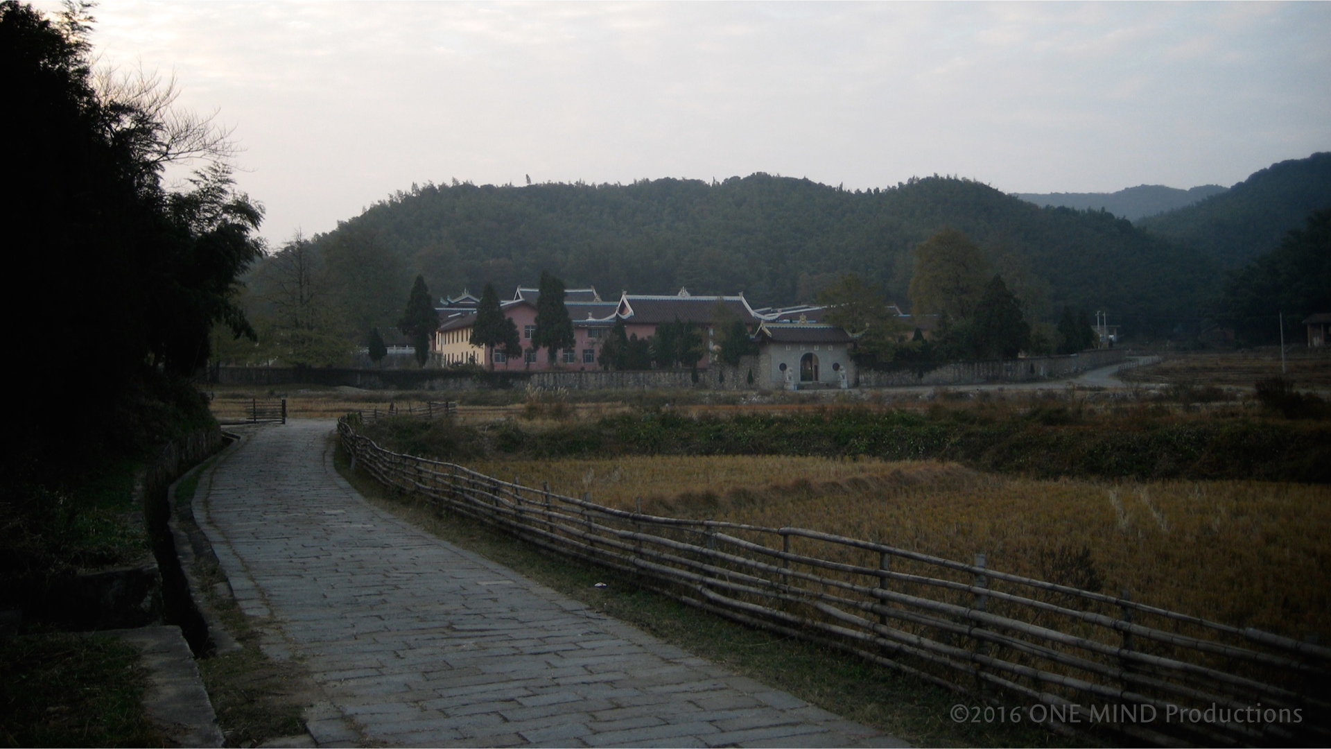 OM_stills_zhenru_wide_wm.png