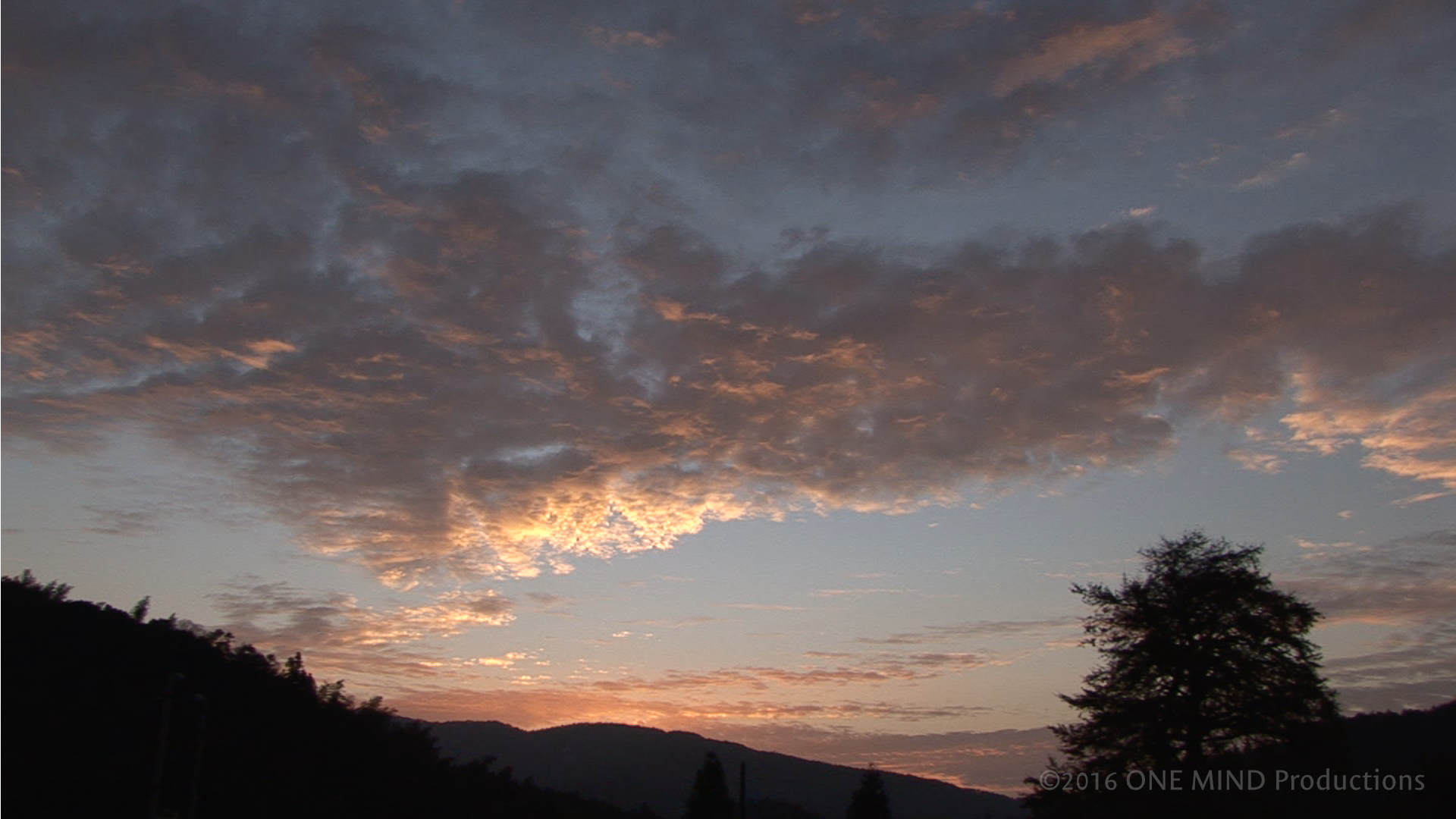 OM_stills_sunset_wm.png