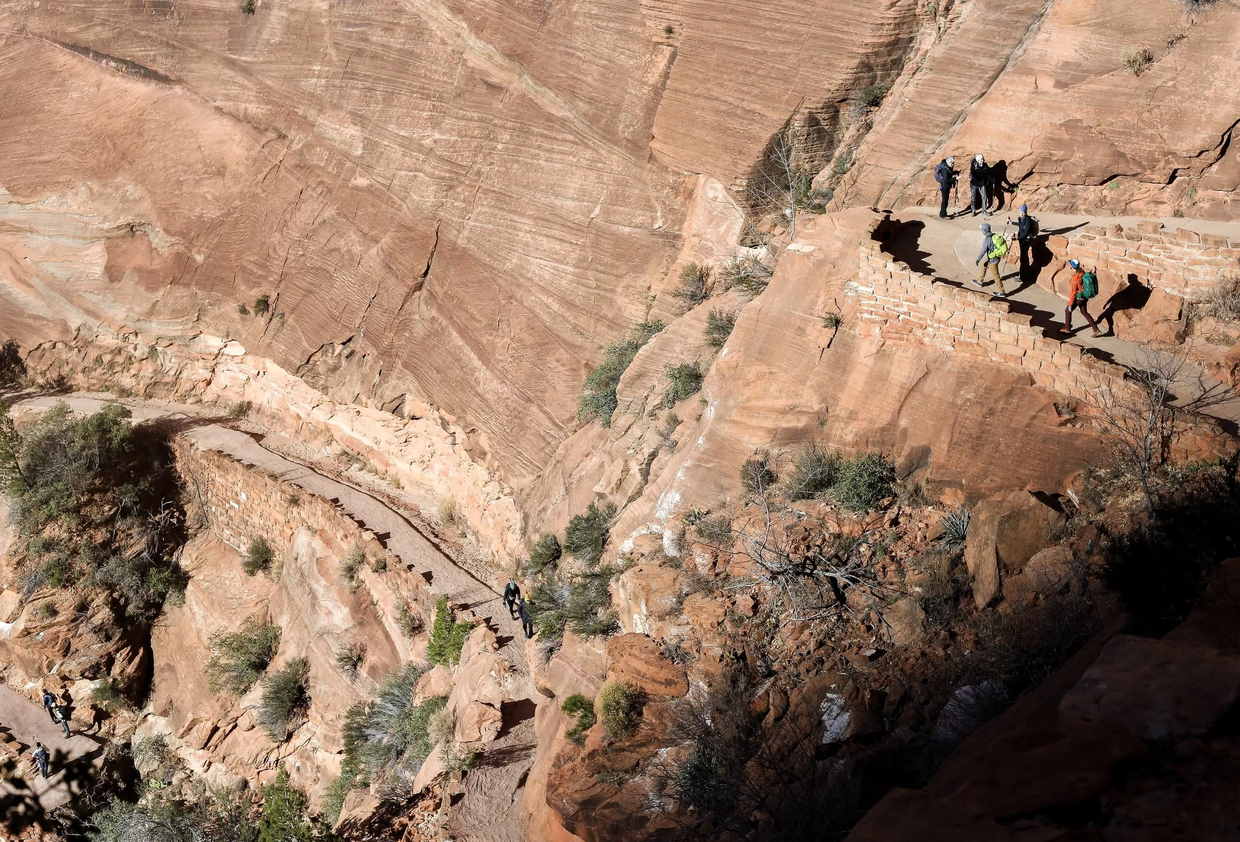 Zion Trail