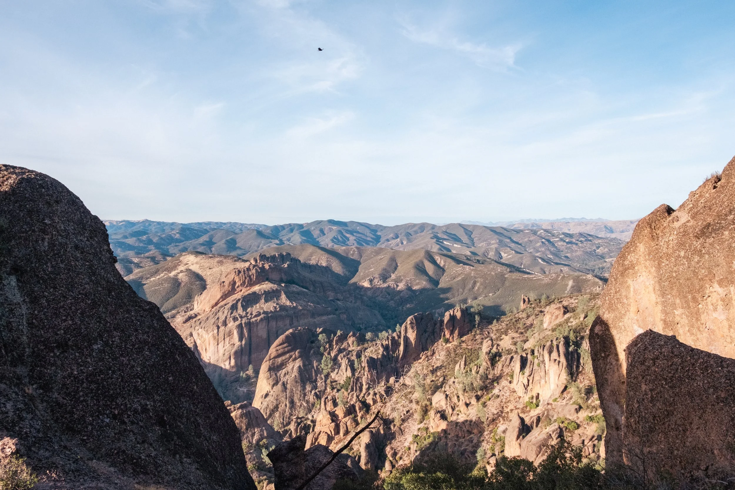 Pinnacles View