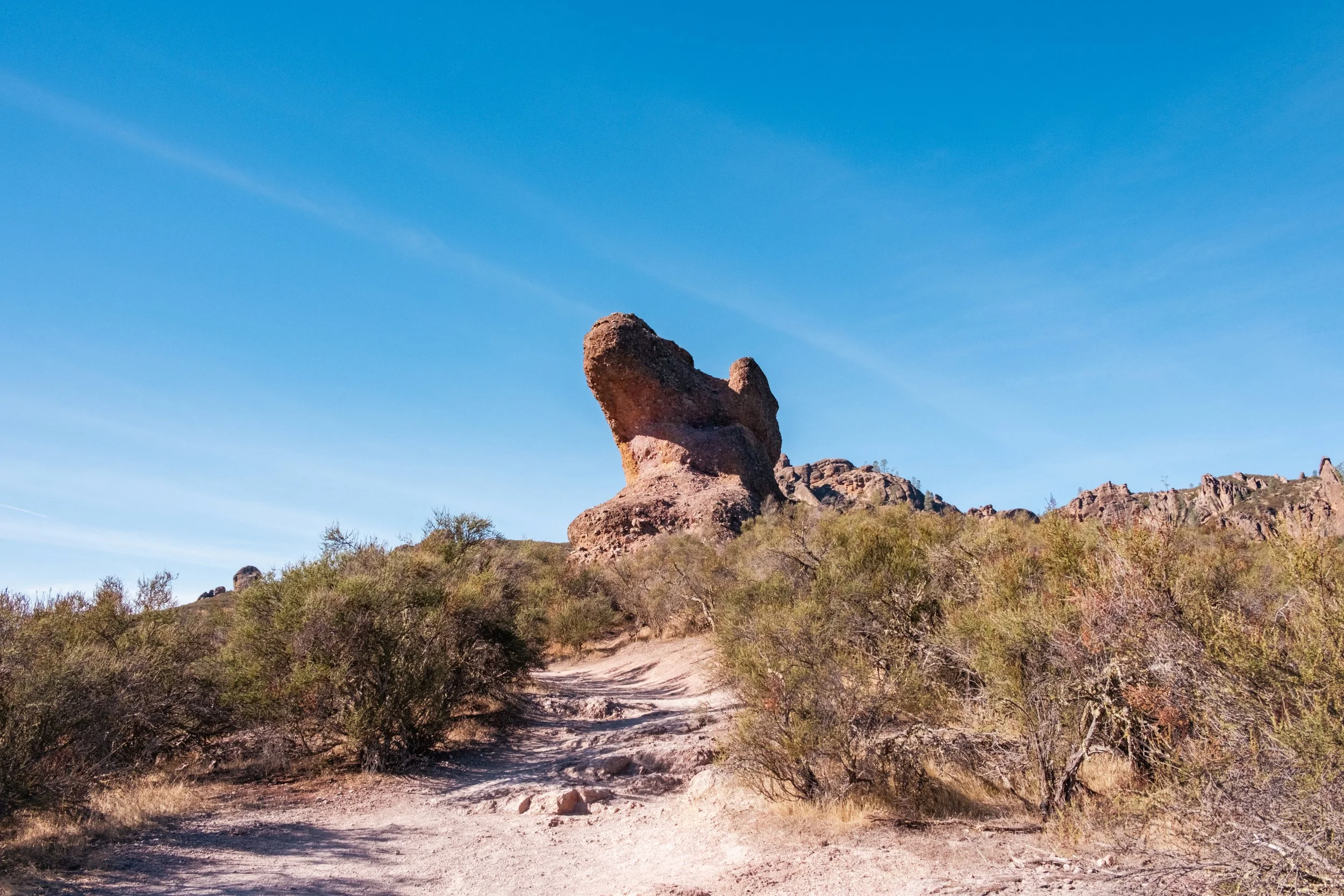 Pinnacles Dog