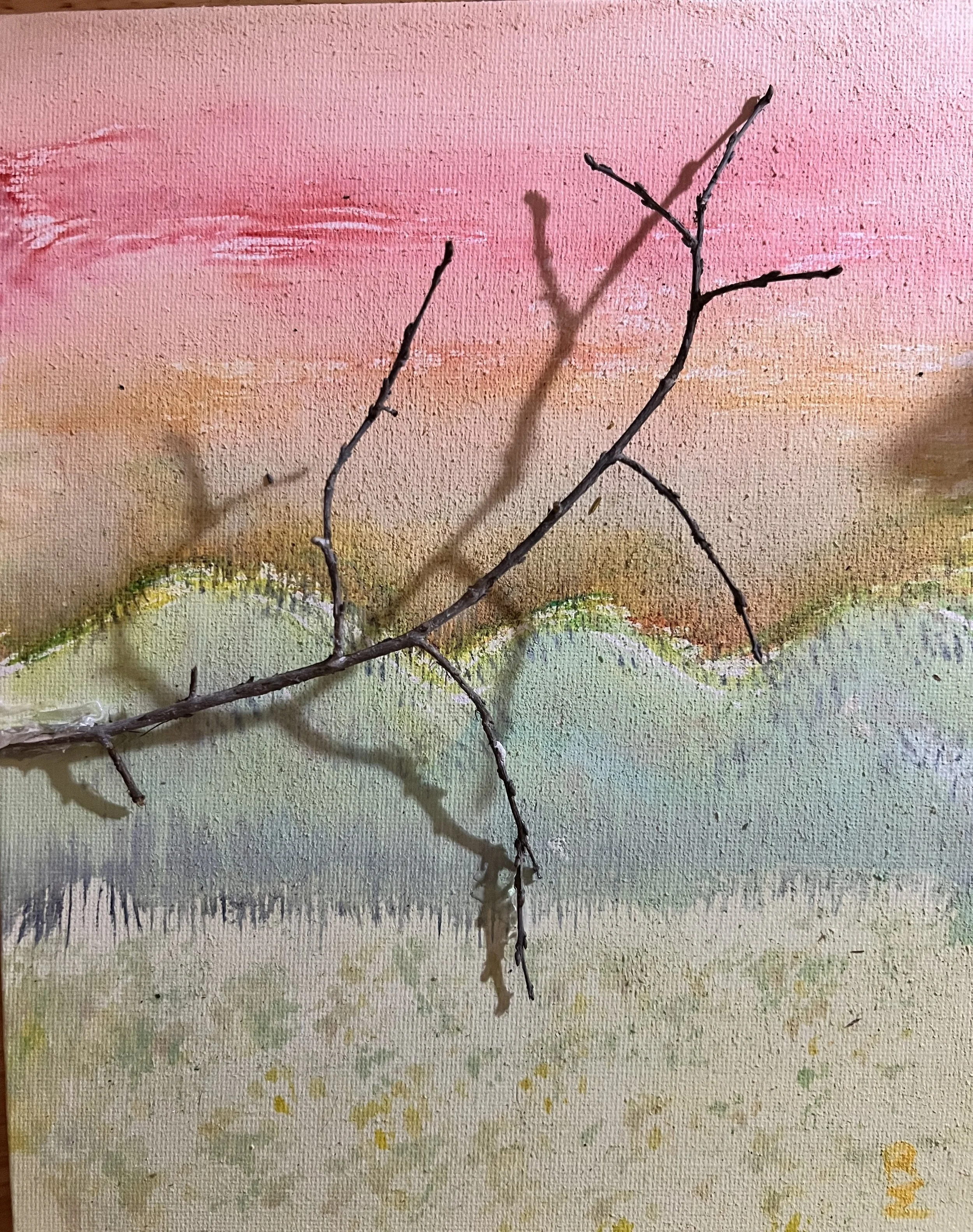 Morning Light Study 01.jpeg