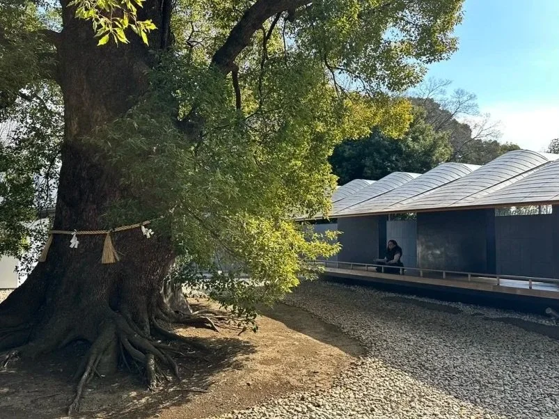 Sheri Bettencourt meditation in Japan