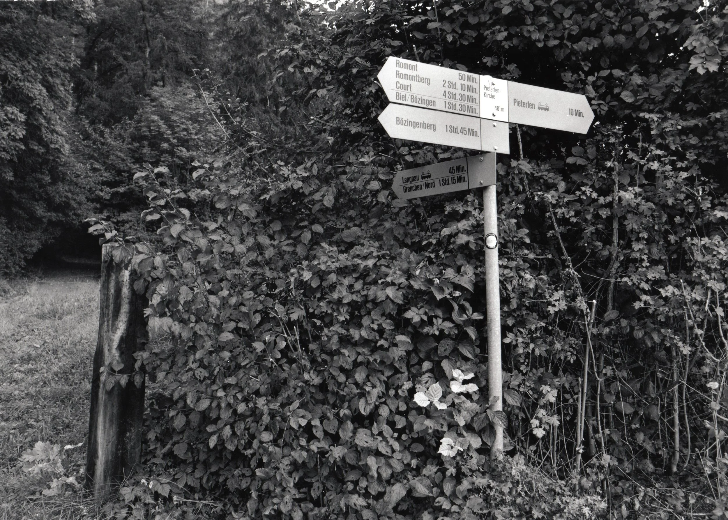 Markers for Walking Trails