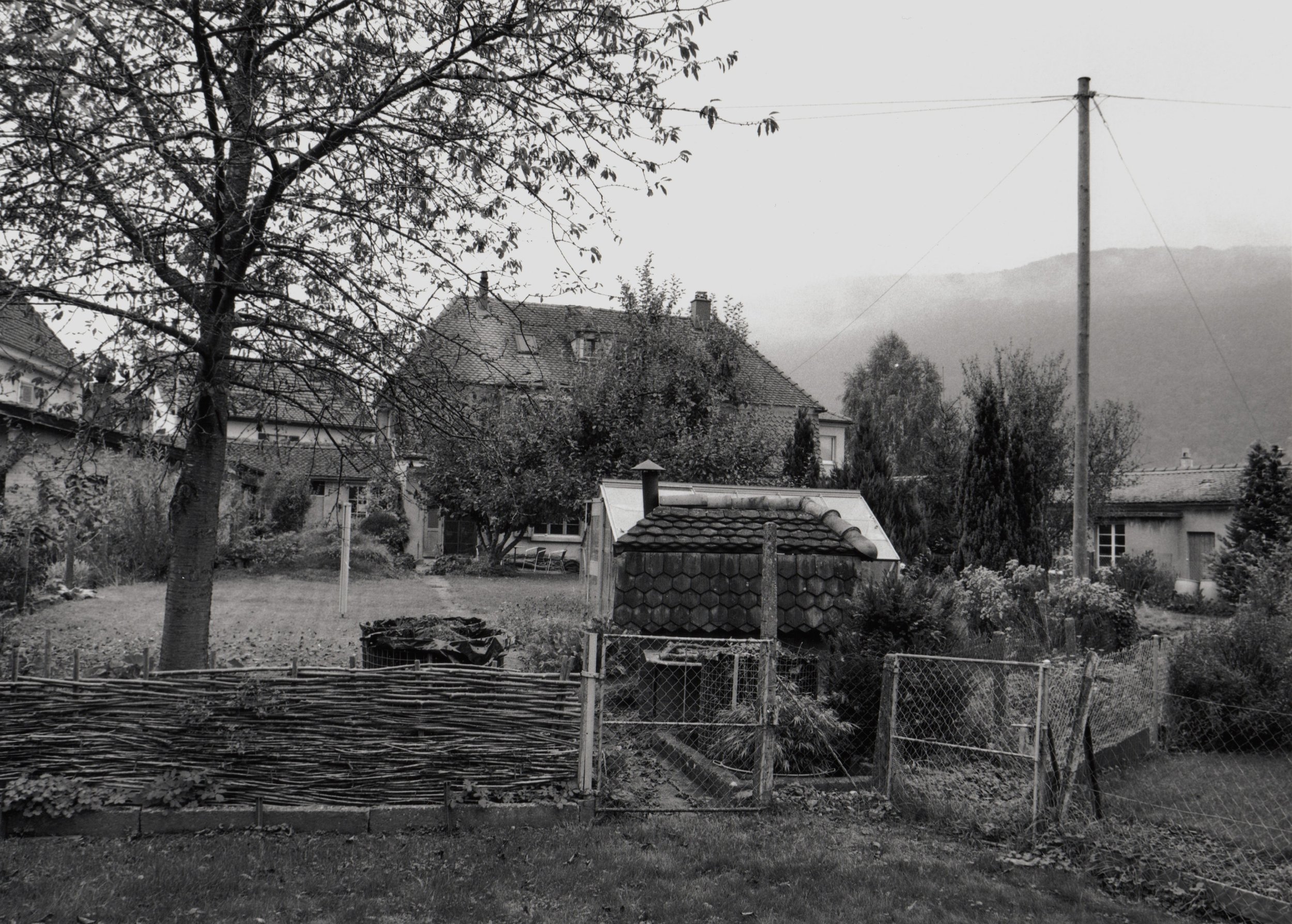 Selections from Returning Home: Pieterlen, Switzerland, 2013