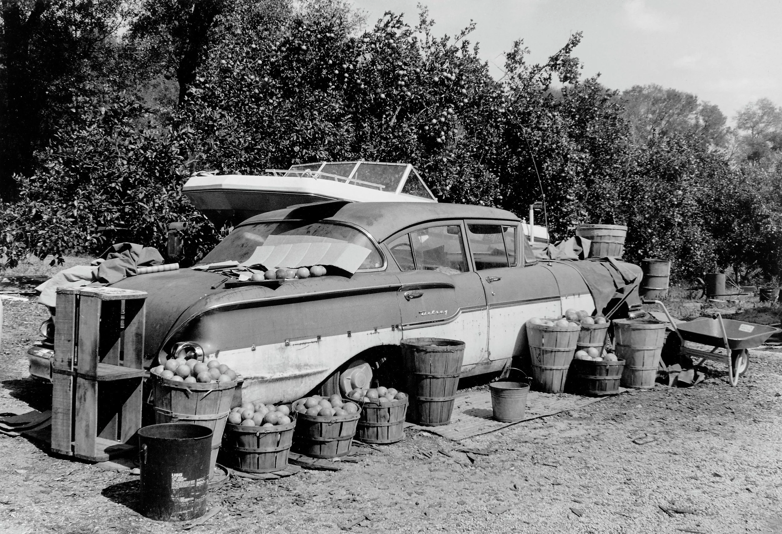 Roadside Fruit Stand, Lake Helen, Florida, 1983