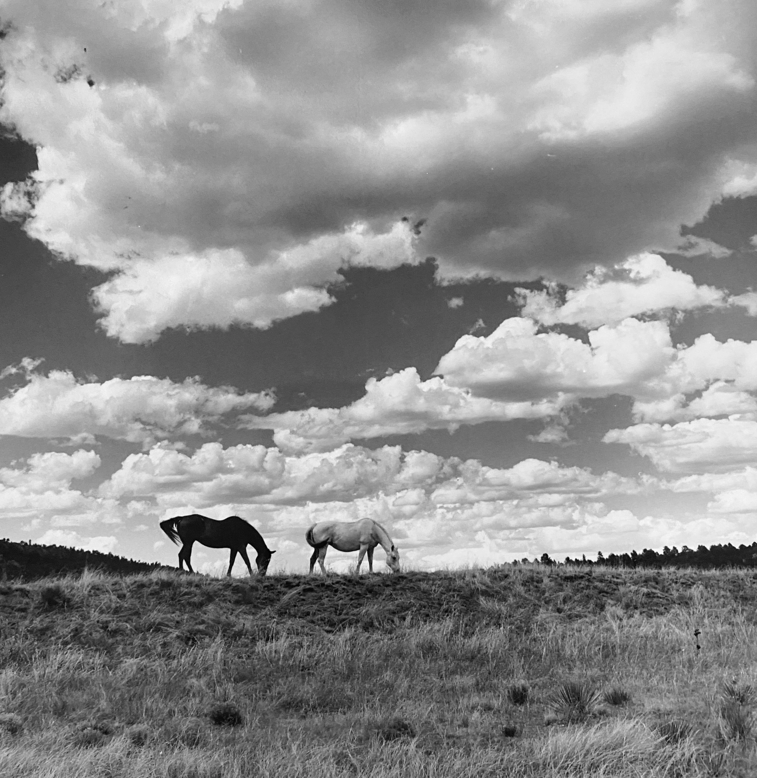 Another America - Recent Work from New Mexico/USA, 2018-2026
