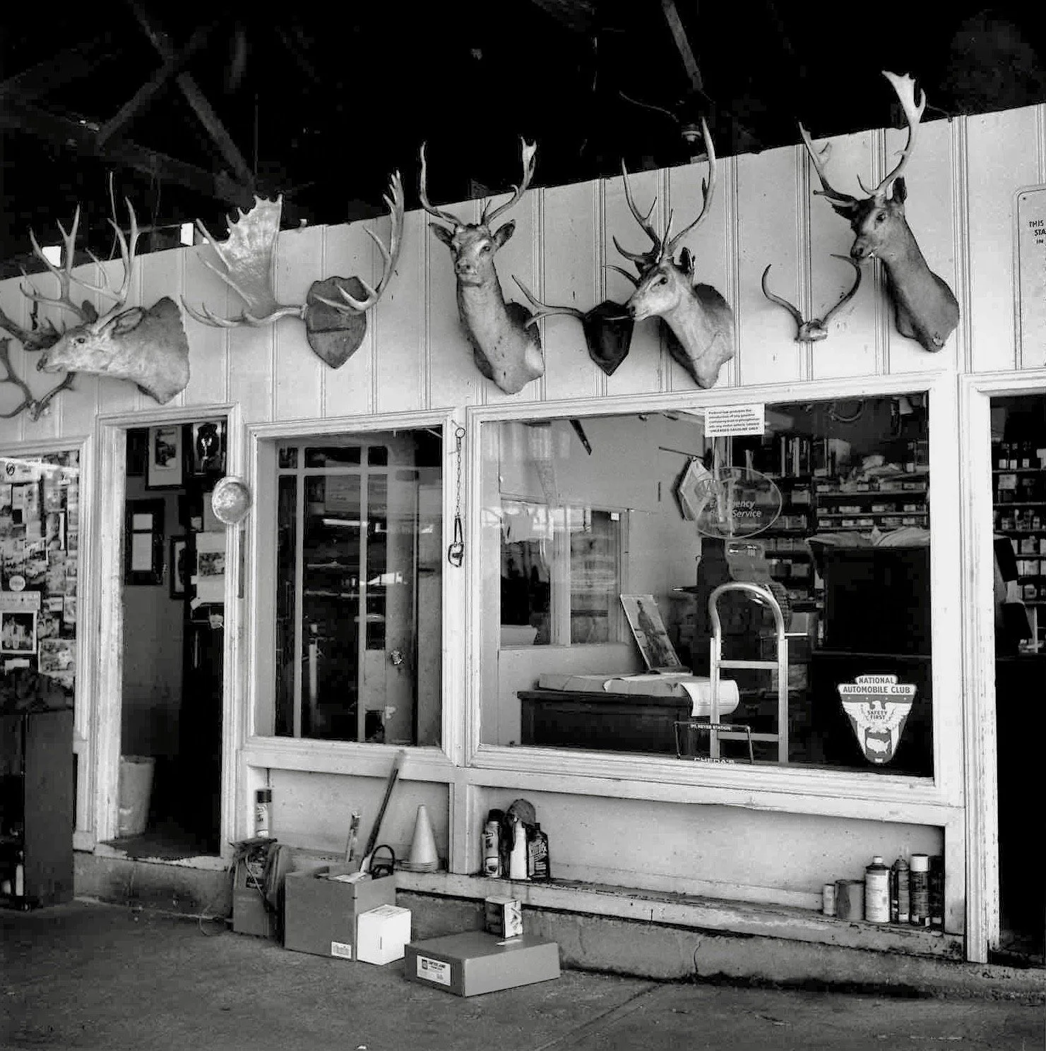 Cheda's Garage, Point Reyes Station, California, 2018