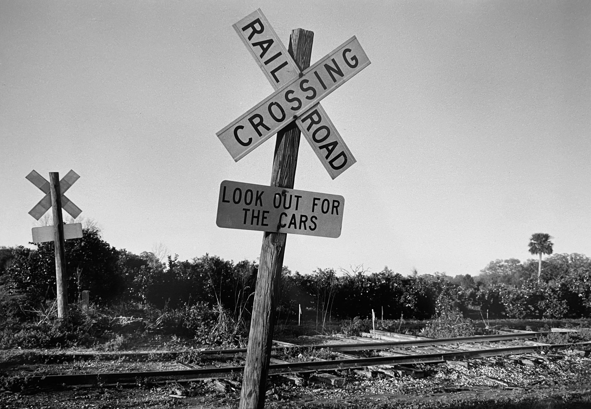 Railroad Tracks with Orange Groves, 1998
