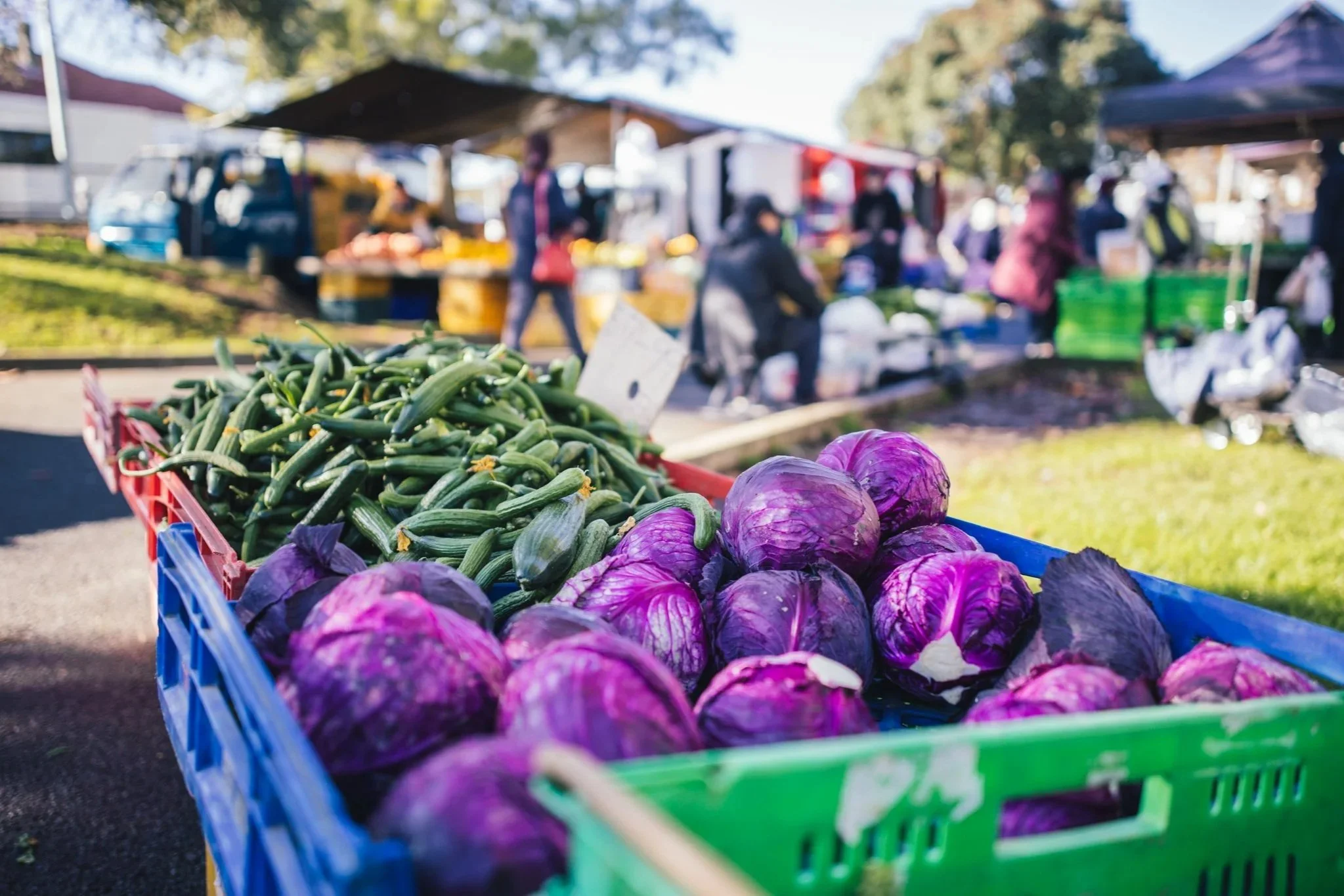 VOTE FOR KAI: OUR FOOD SYSTEM, OUR FUTURE