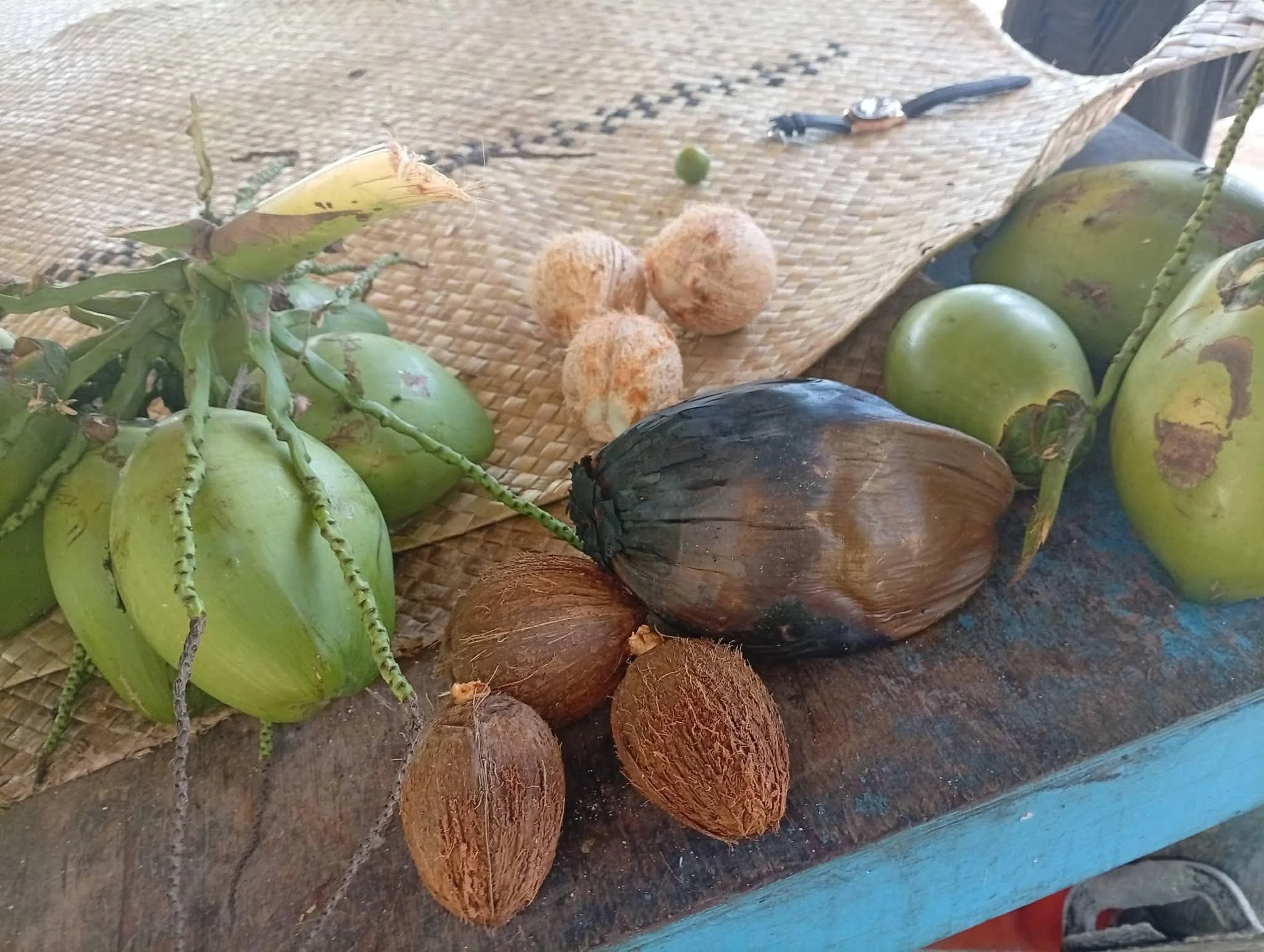 Coconut