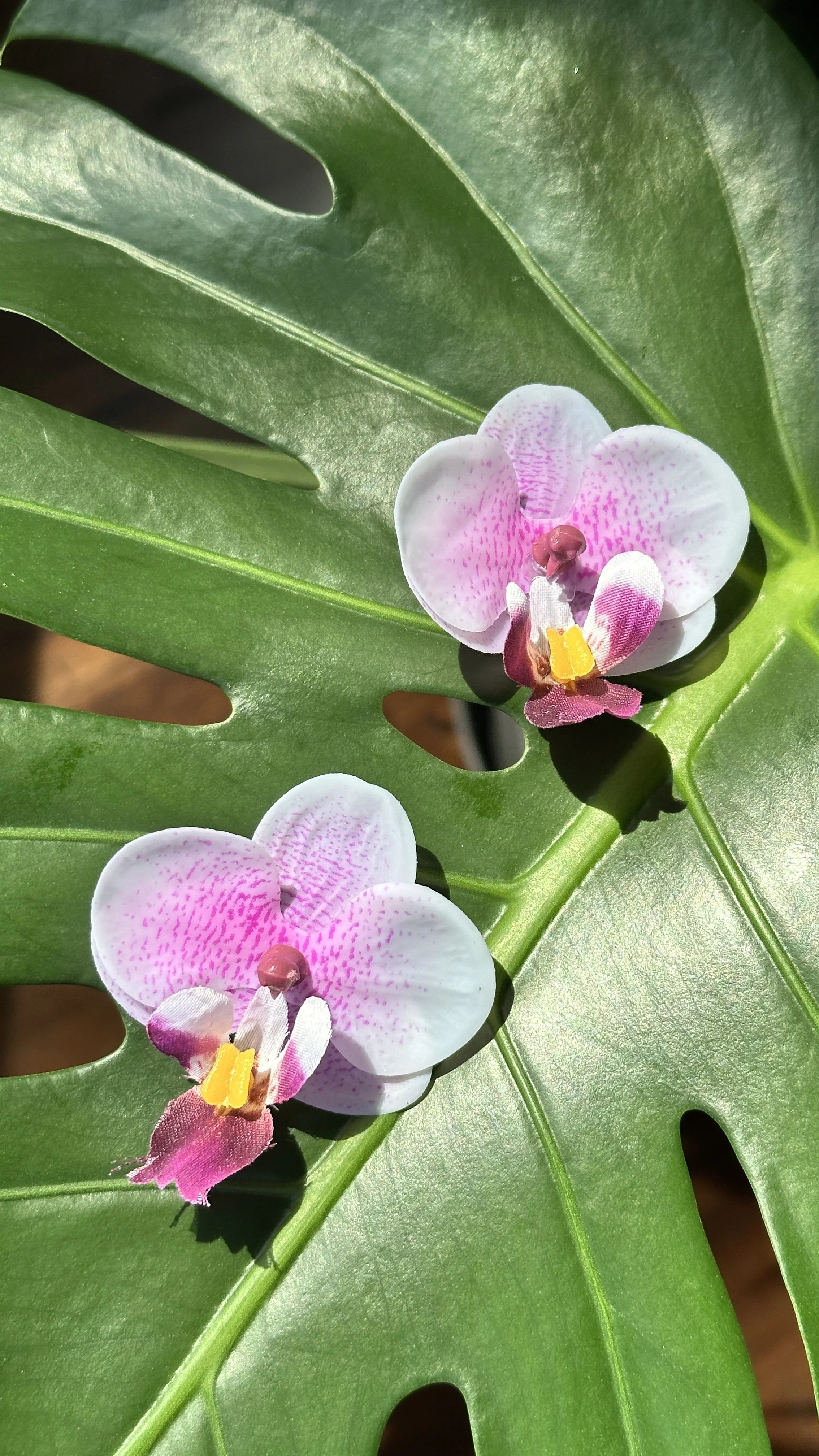 Greenhaus Blush Orchid Earrings (X-Small)