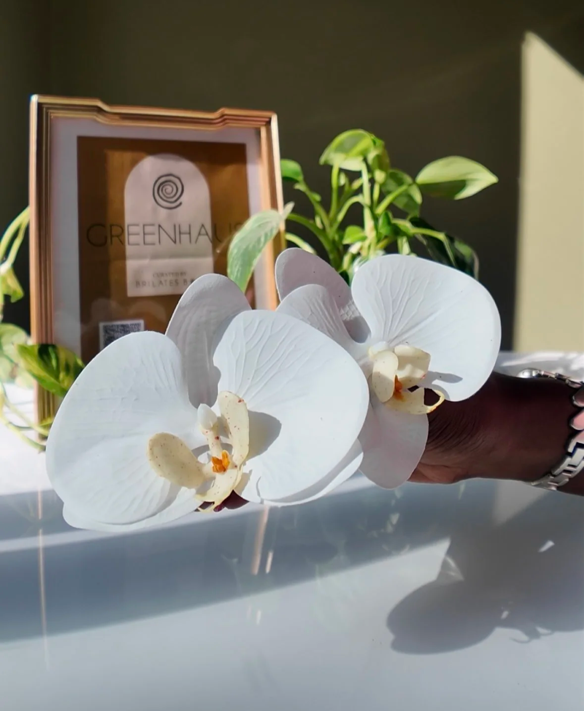 Greenhaus White Orchid Earrings (LARGE)