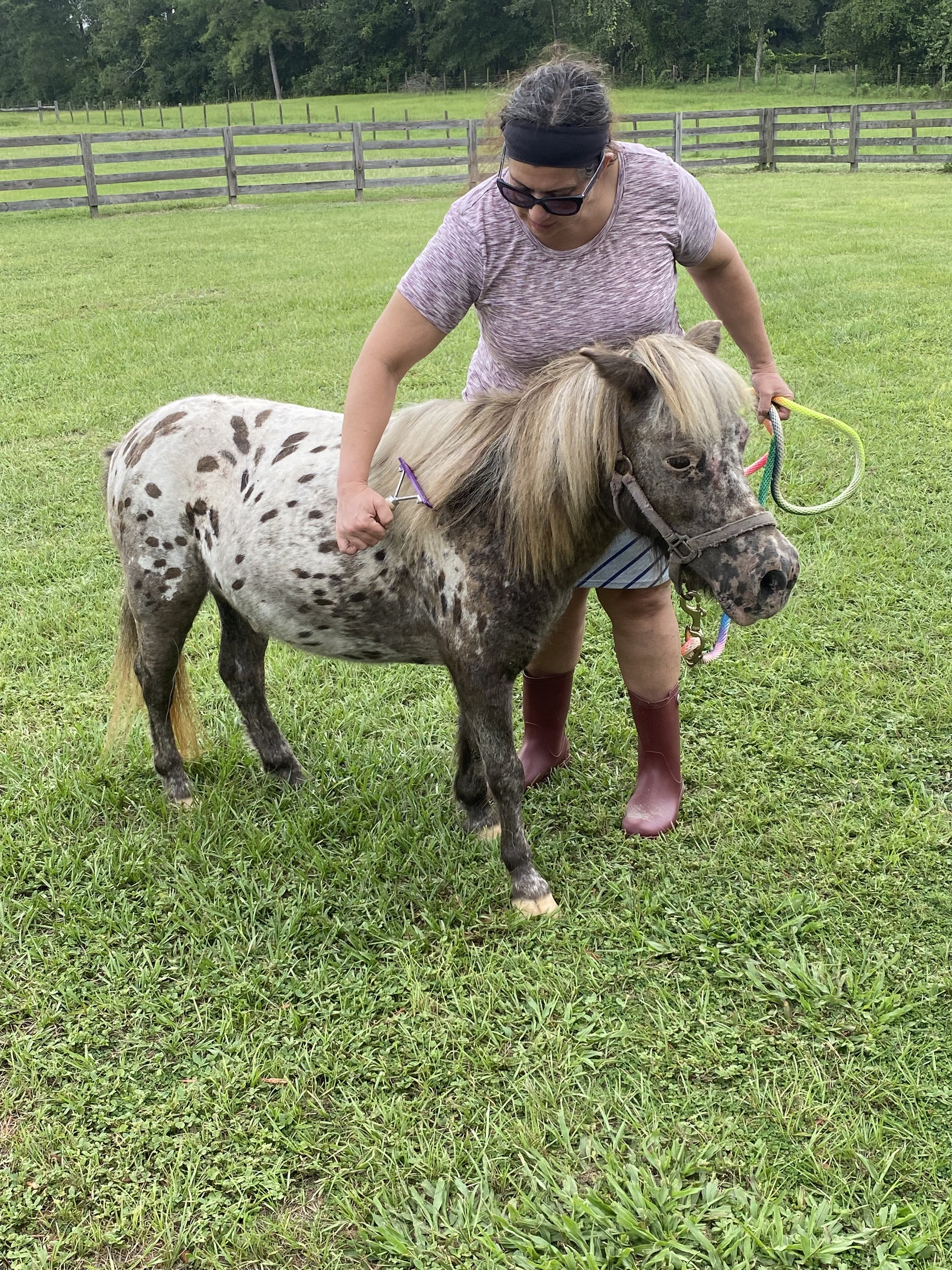 Pony Painting and Pony Painting Parties
