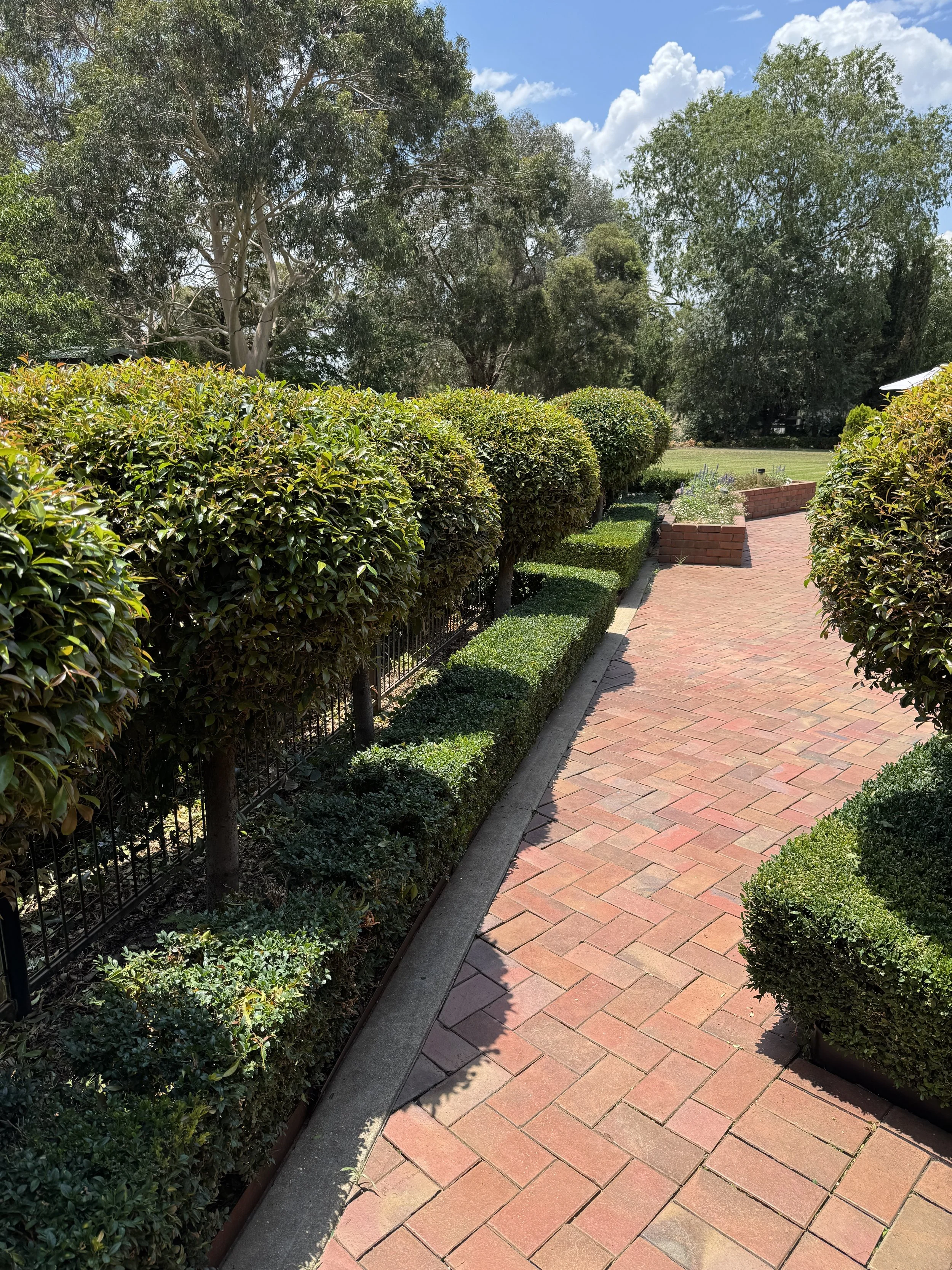A paved brick walkway bordered by neatly trimmed bushes and small trees, with taller trees in the background and a partly cloudy sky overhead.