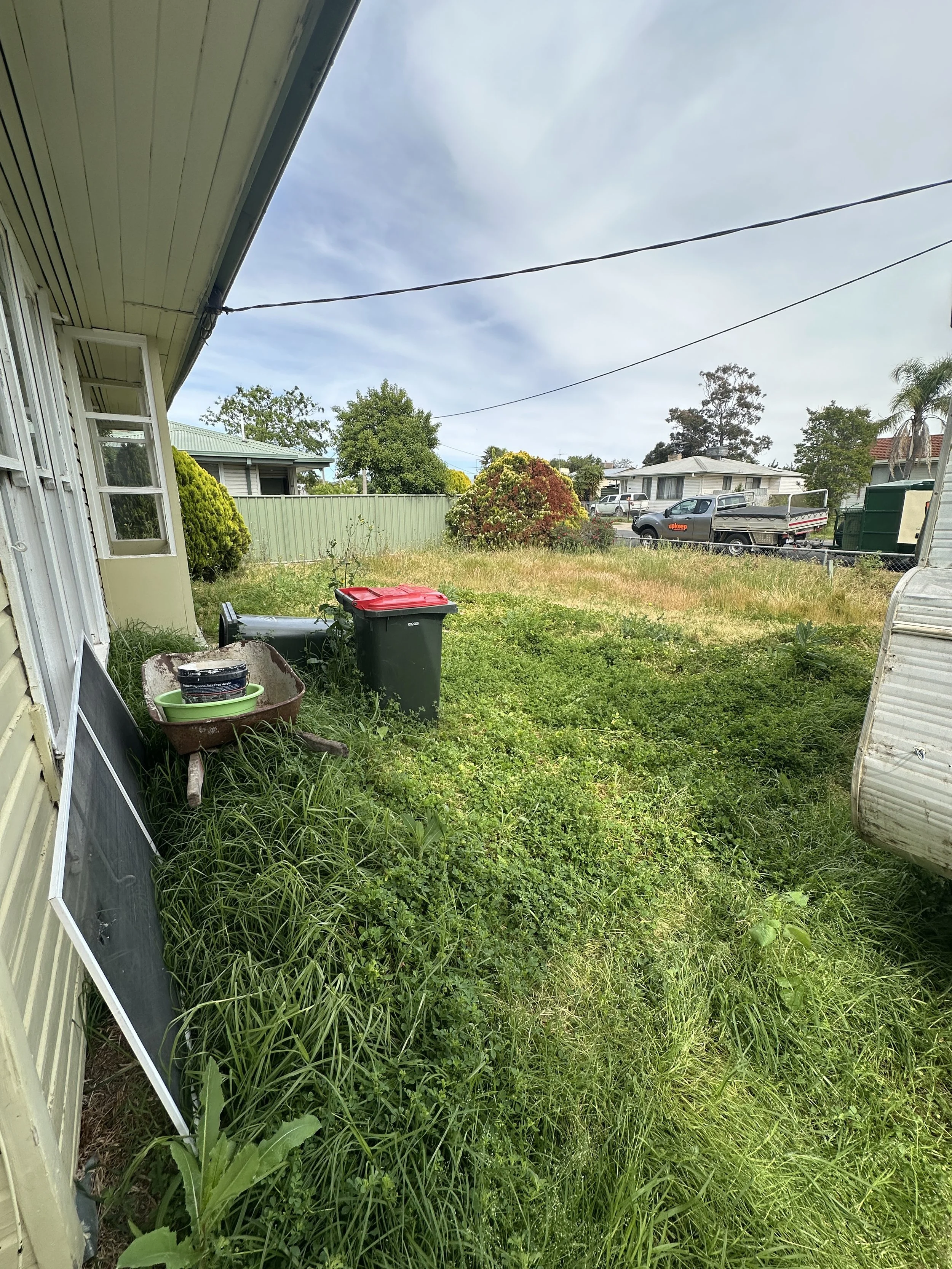 Overgrown garden clean-up in Wangaratta