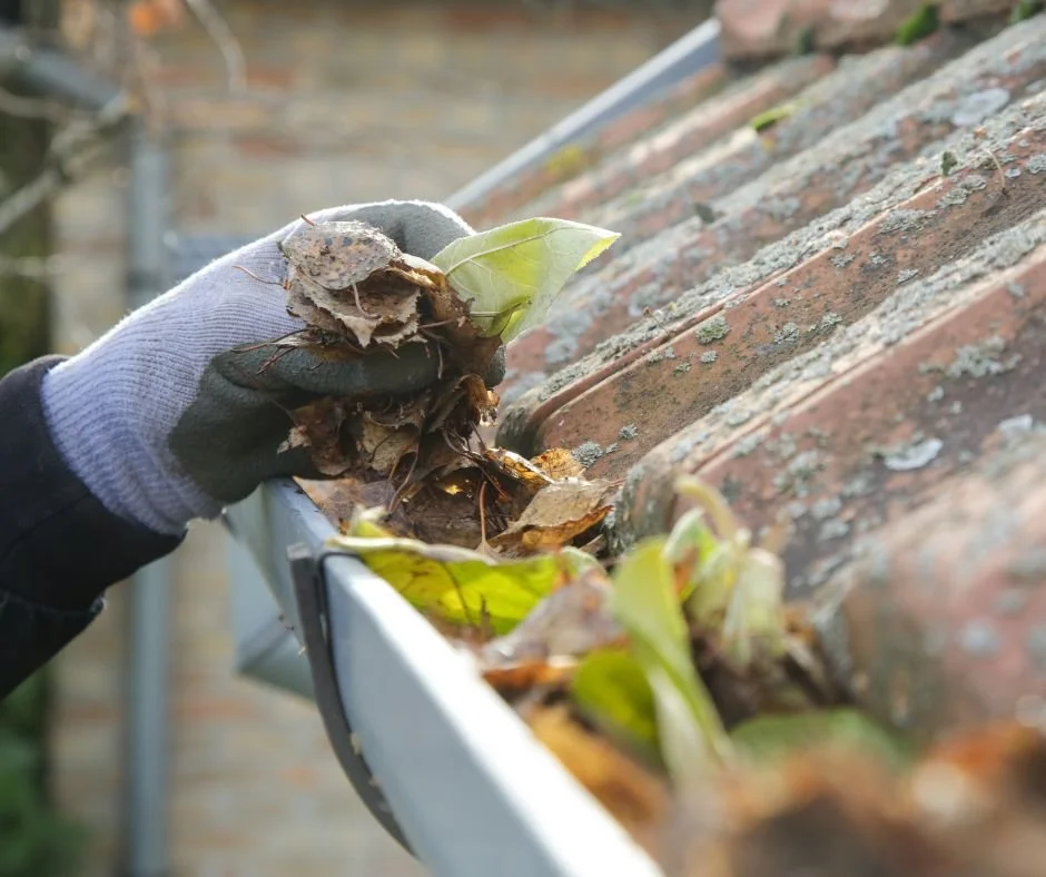 Gutter cleaning services in Wangaratta