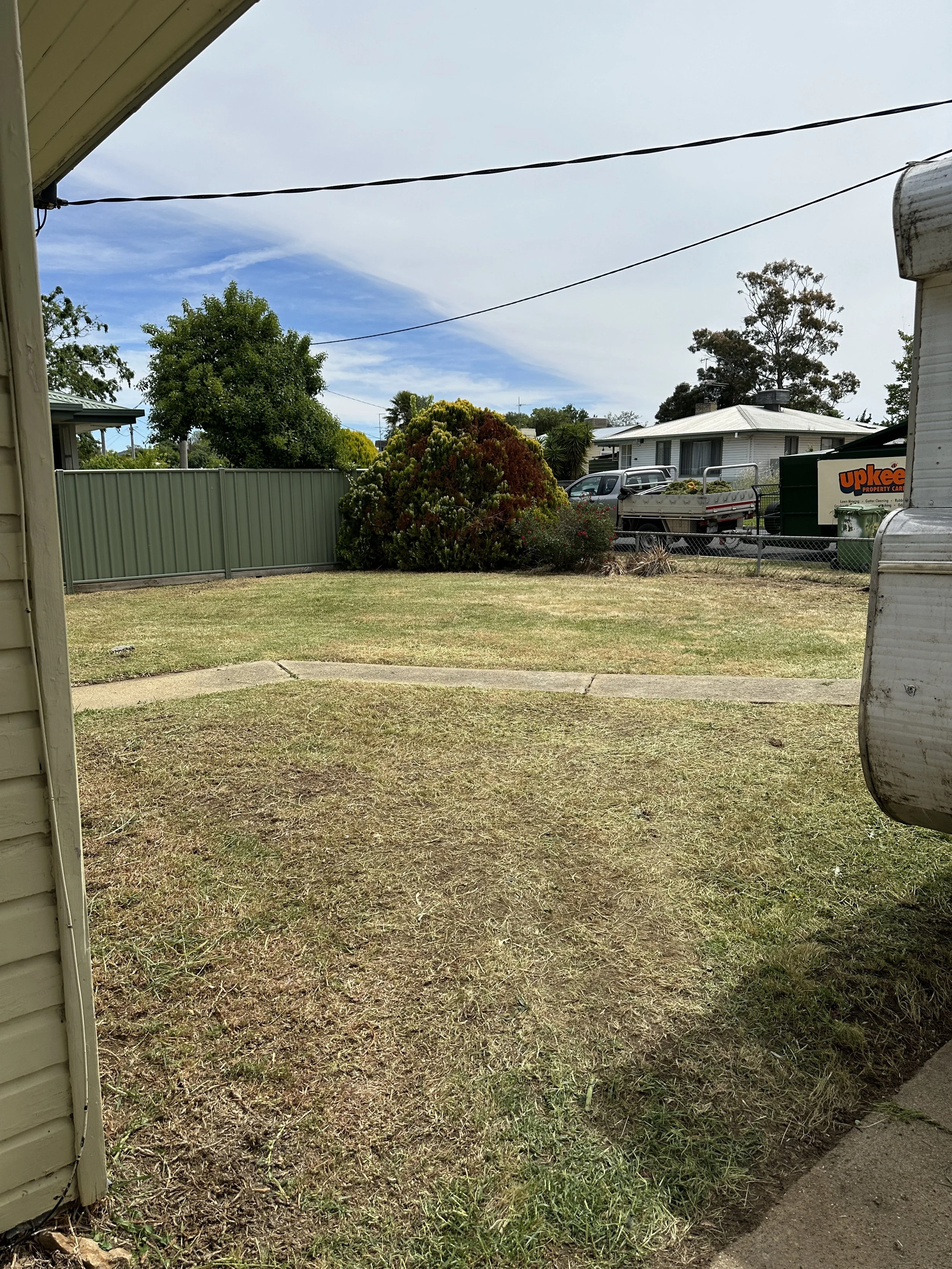 AFTER: Yard transformation