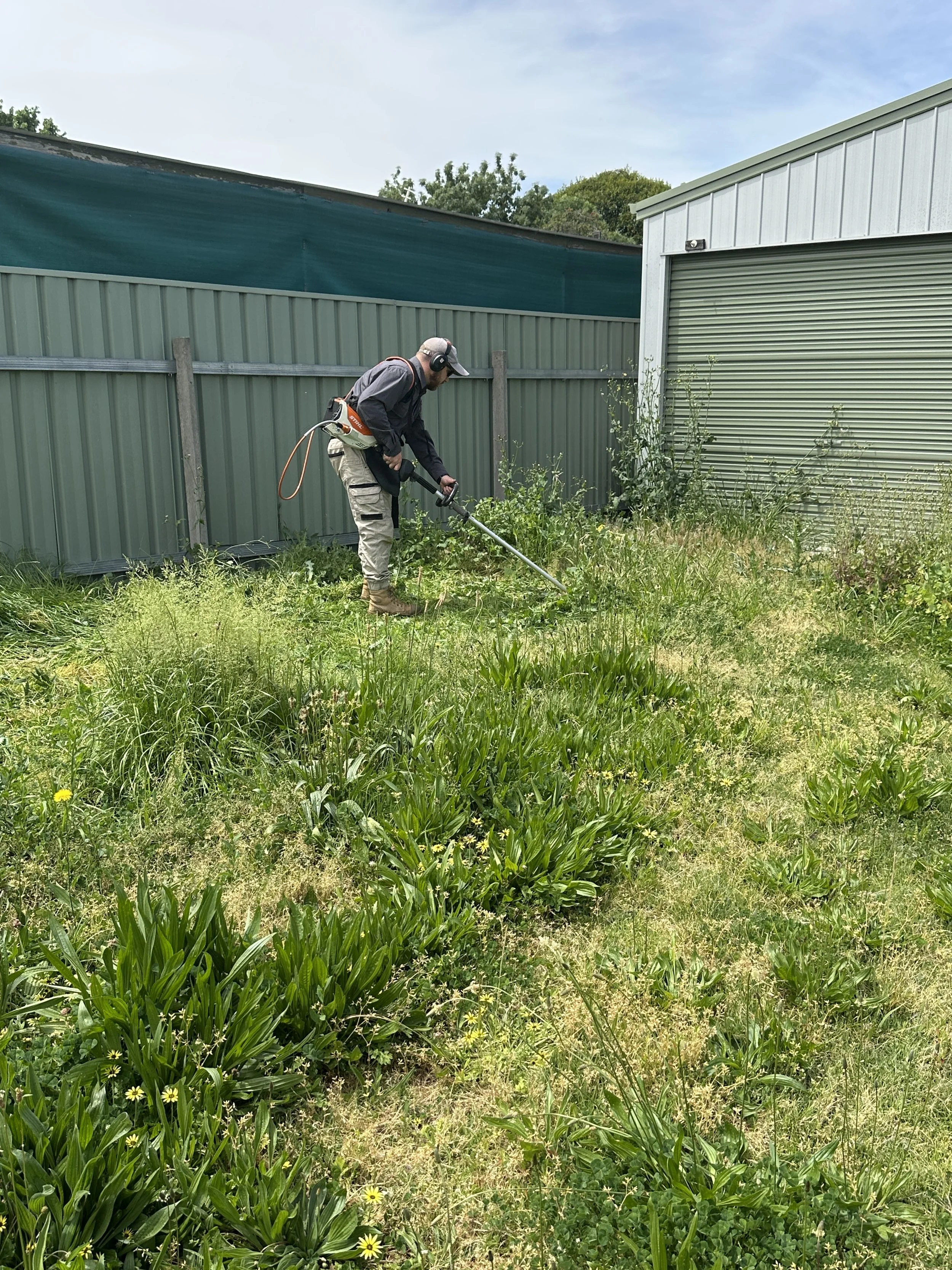 A man wearing safety gear, including headphones and boots, using a grass trimmer to cut grass and weeds in a backyard.