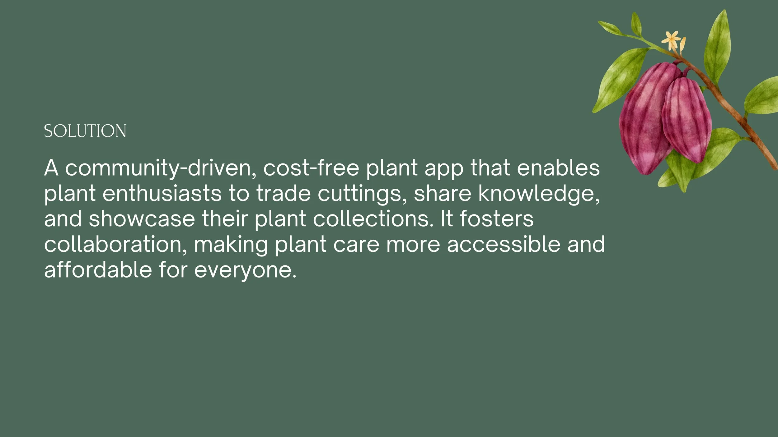 Solution: A social media app designed to connect users through their shared passion for houseplants.