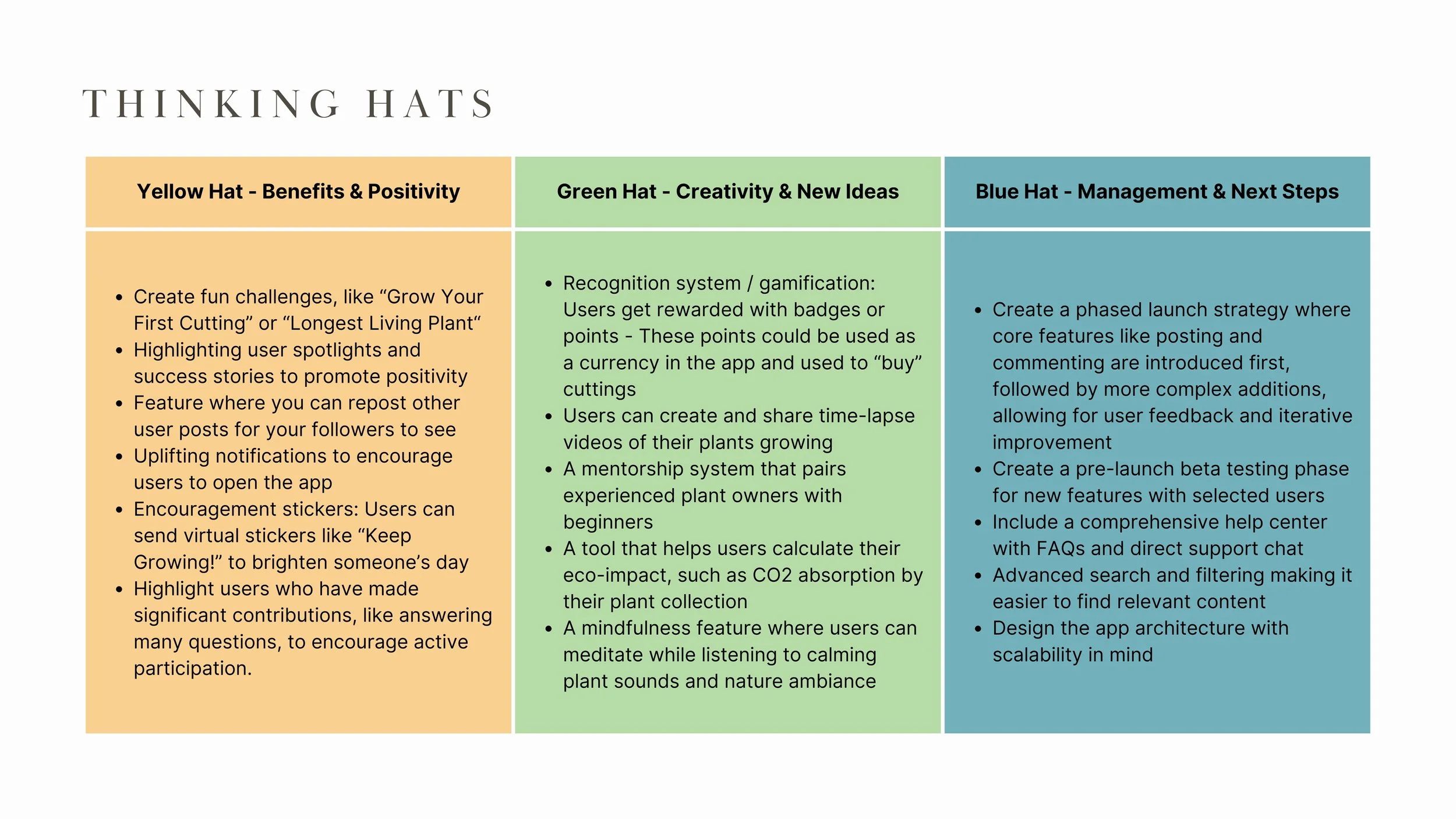 Excerpt from a Six Thinking Hats exercise