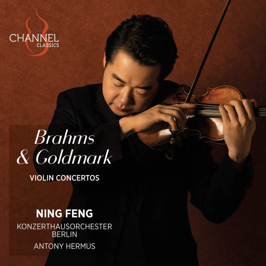 Brahms &amp; Goldmark : Violin Concertos 