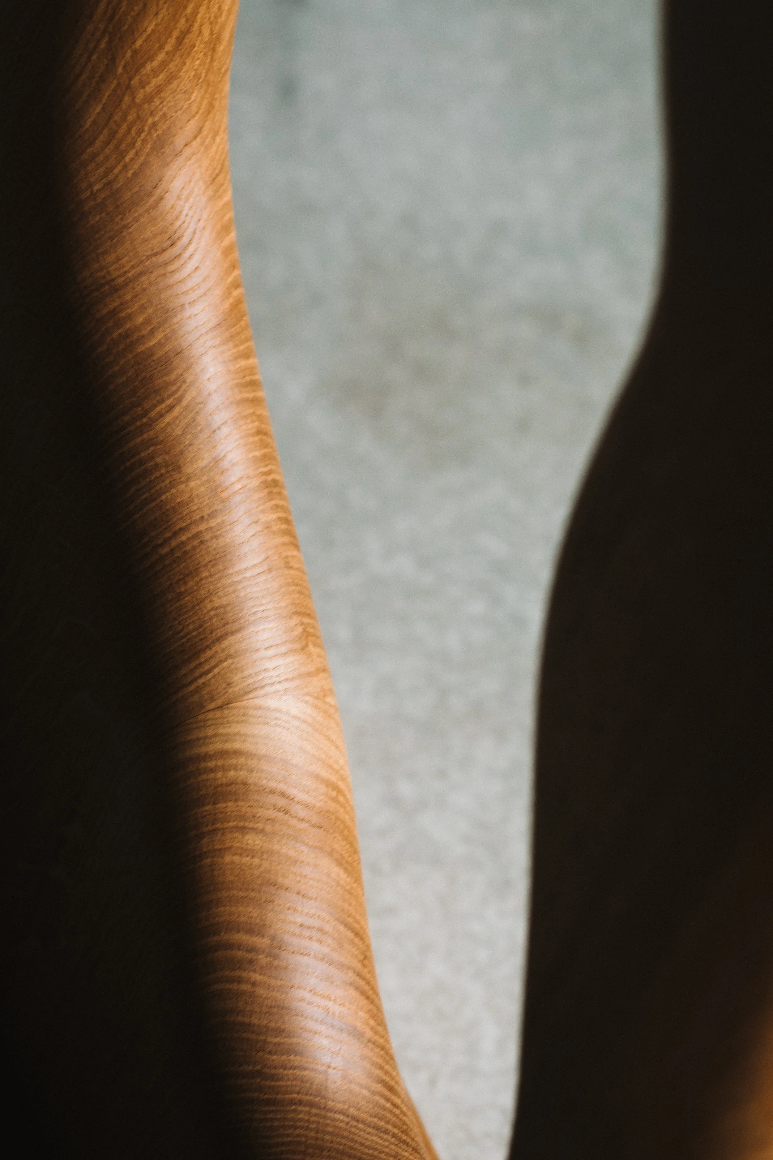 An image of When hope dances from the shadows.