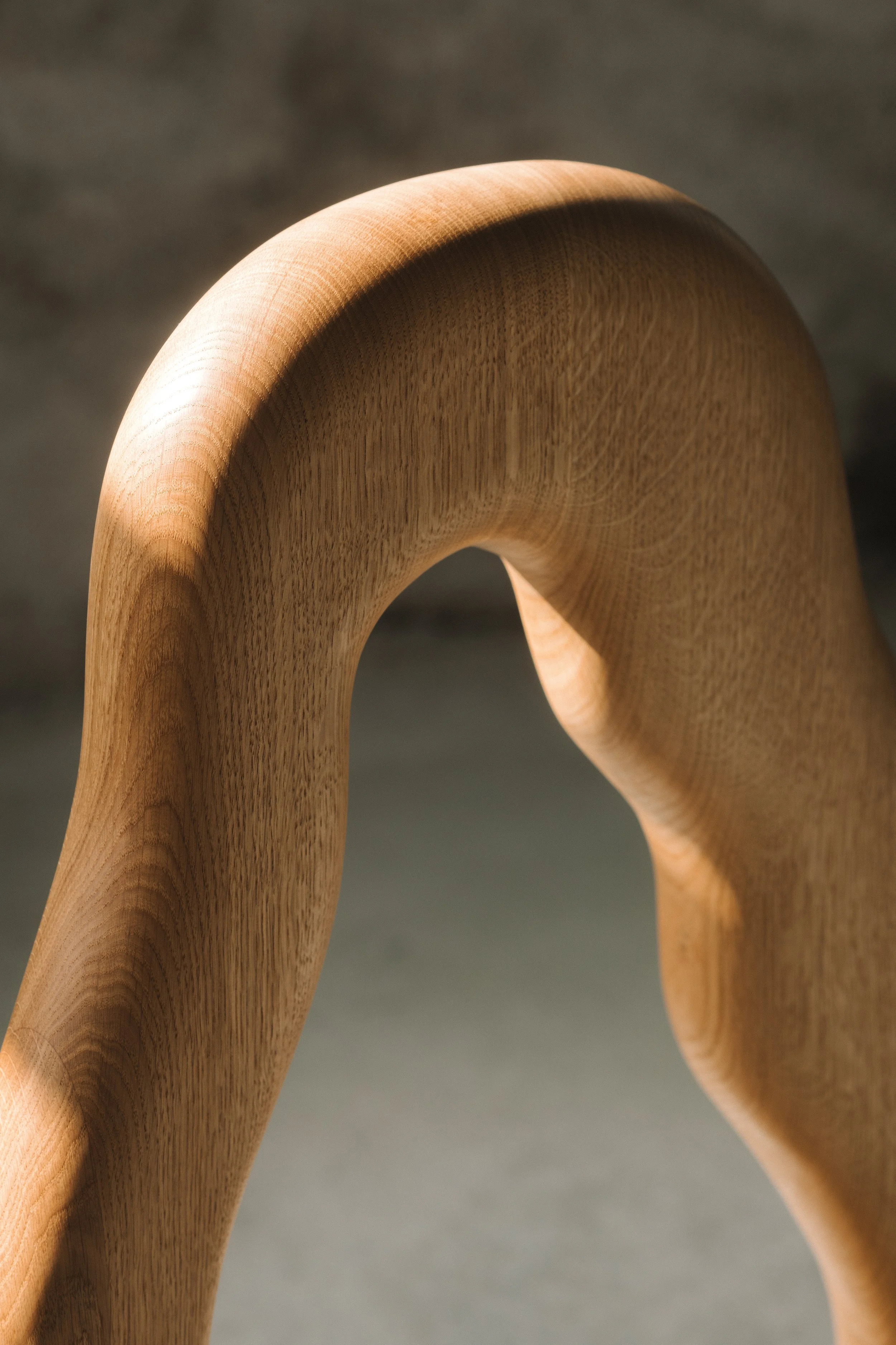 An image of When hope dances from the shadows.