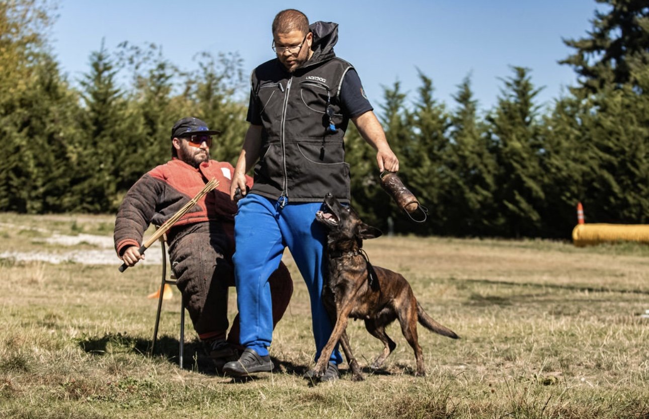 Katz-dutch-shepherd-training