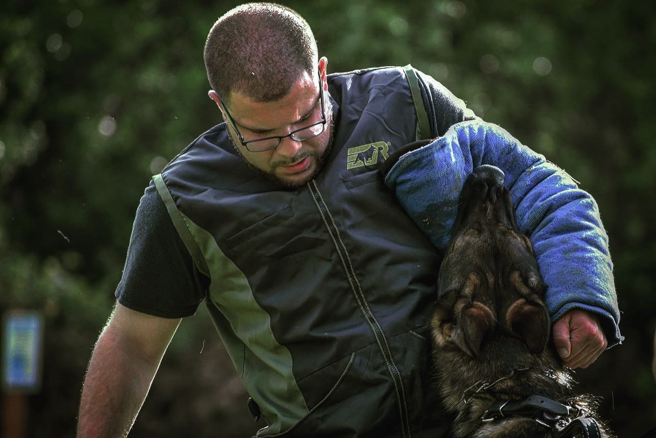 Professional-dog-decoy-development