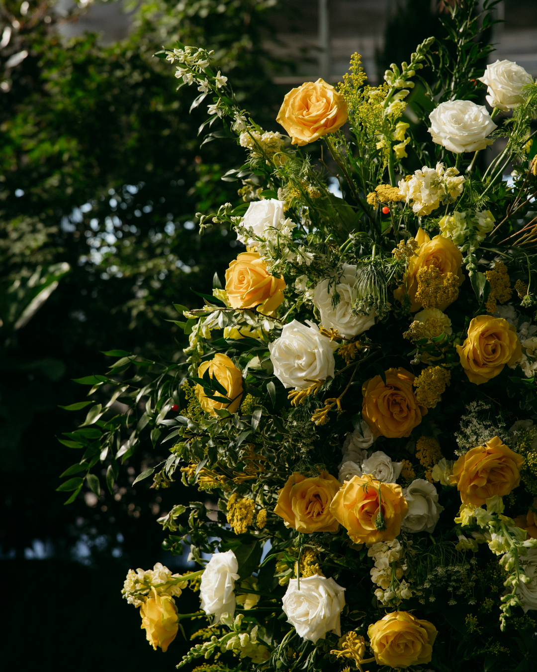 A bouquet of yellow and white roses with green foliage, set outdoors with blurred trees and sunlight in the background.