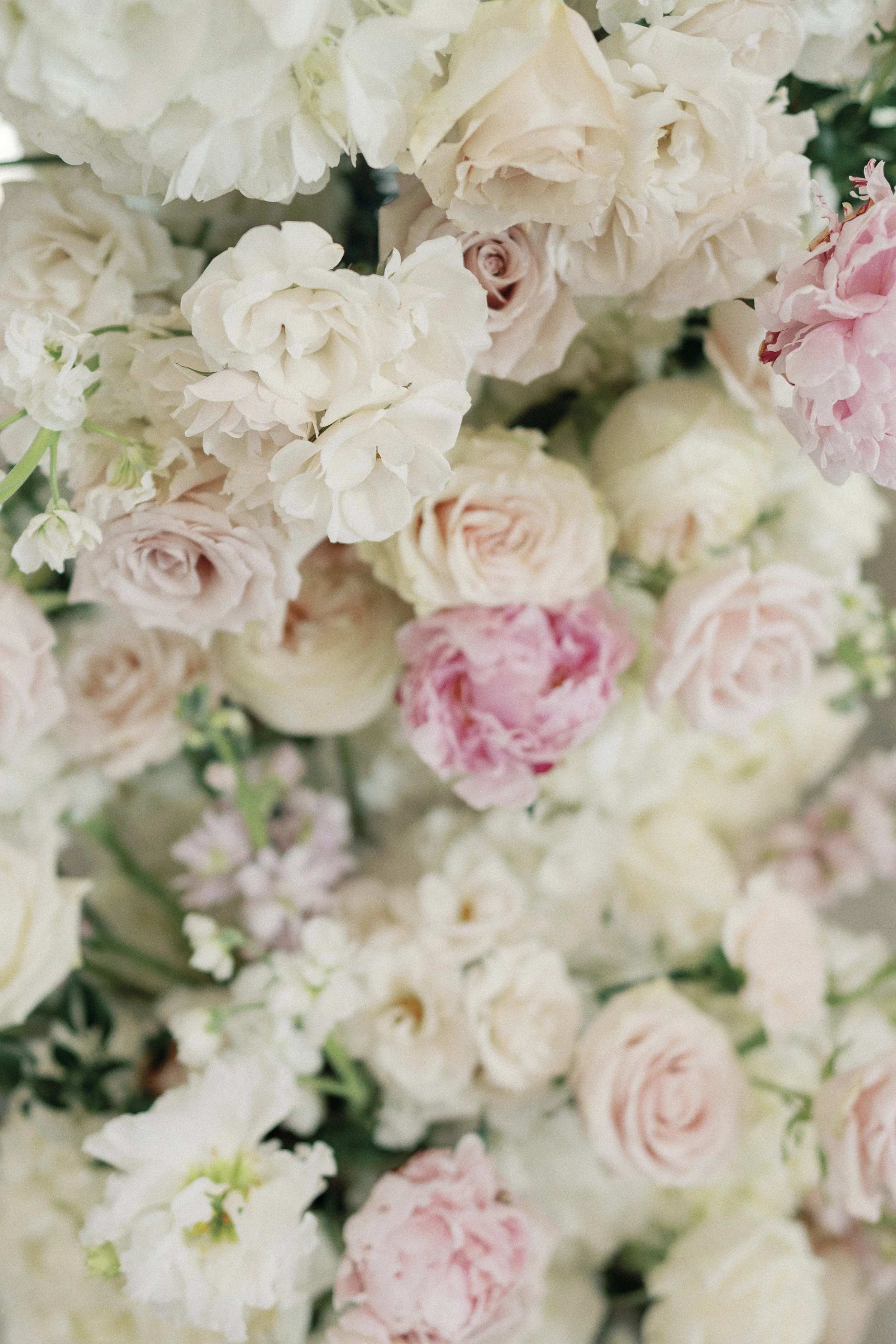 theestablishmentbarnweddingprt2-7408923.jpg