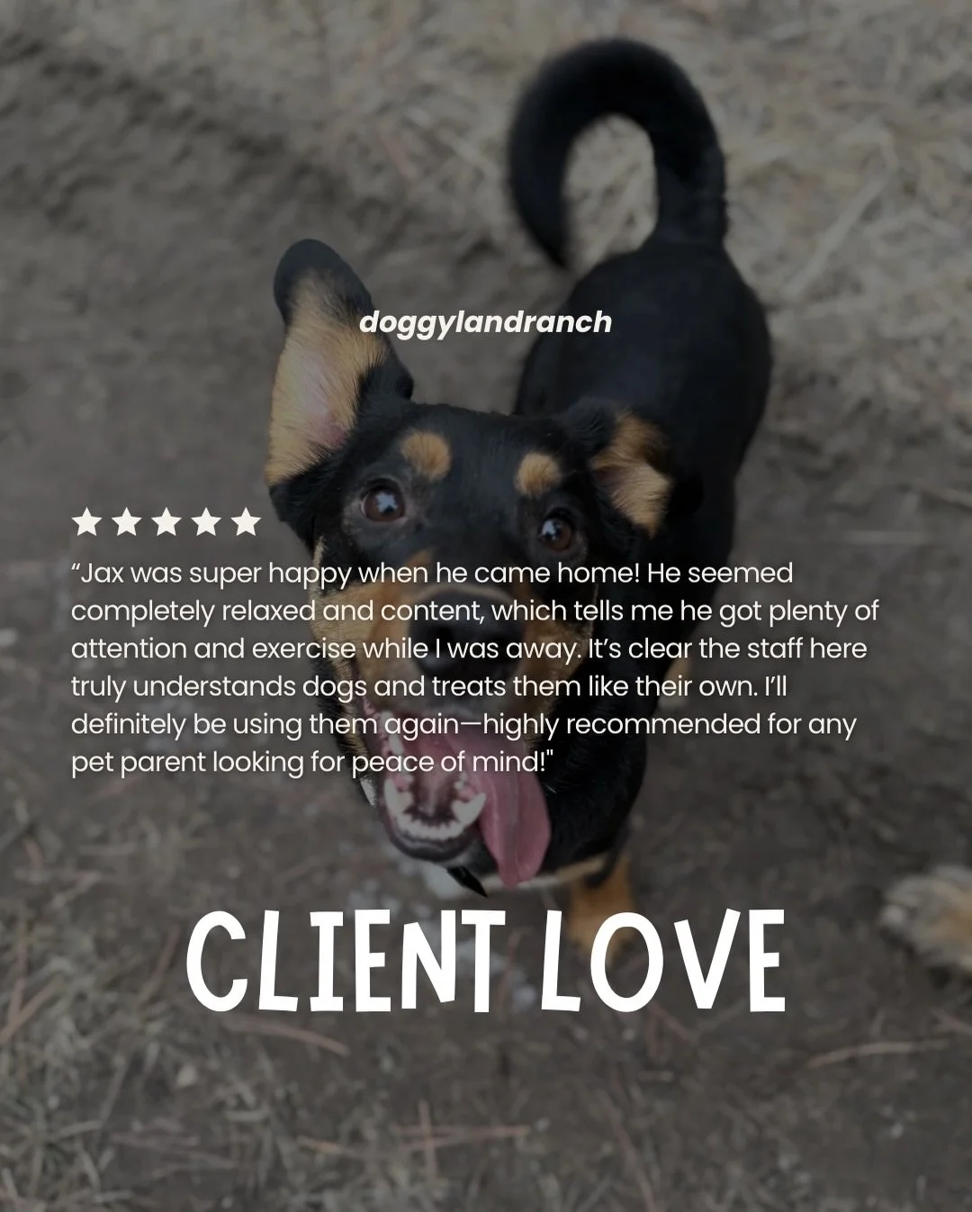 Happy pups. Happy owners. That&rsquo;s the goal every time 🐶✨

We&rsquo;re so grateful for clients who trust Doggyland with their four-legged family members. Reviews like this mean everything to us.

Ready to see why pups love it here?
🐾 Book your 