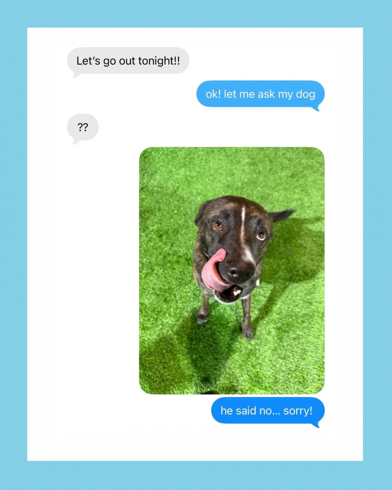 He wants to be well rested for doggy day care tomorrow 🐕💛

+ Send this to a friend you&rsquo;ve had to cancel on because of your dog🤣

#eastkootenays #doggydaycarelife #dogsofinstagram #cranbrookdogboarding #doggroomer