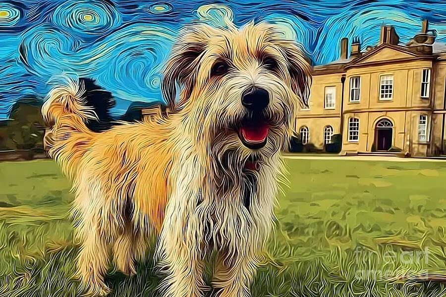 Rupert and Taggie’s Rivals New Year Dance: When Recognition Becomes Dangerous