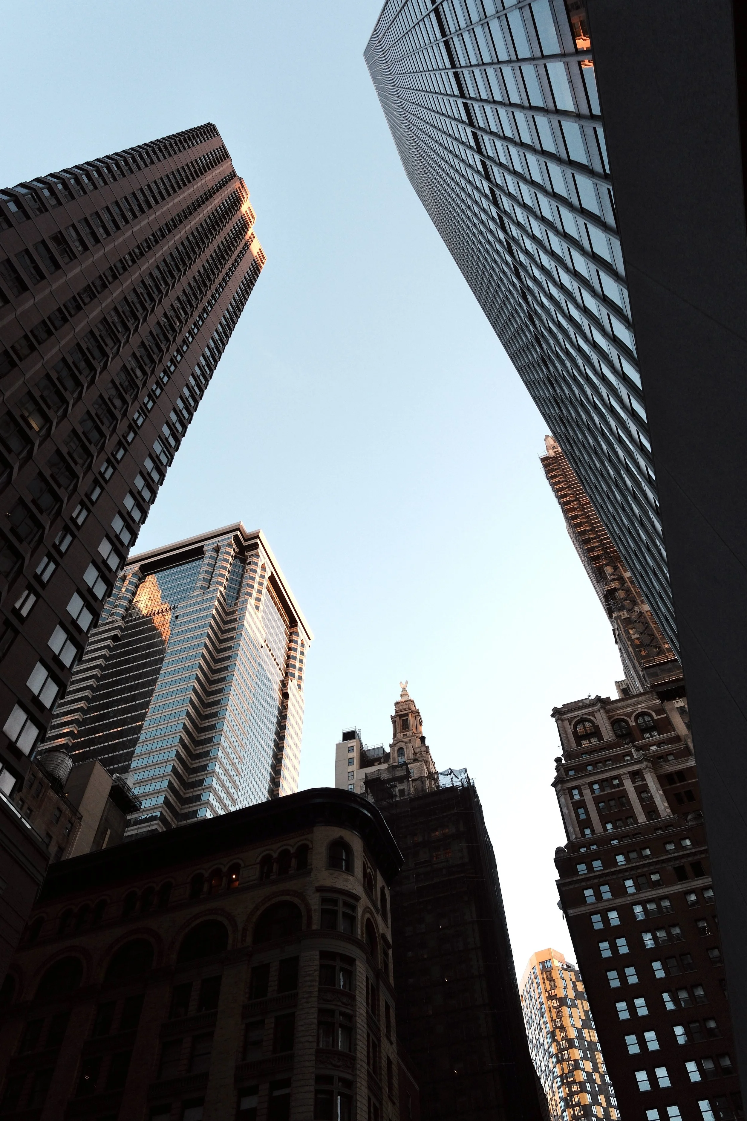 DSCF1316.jpg