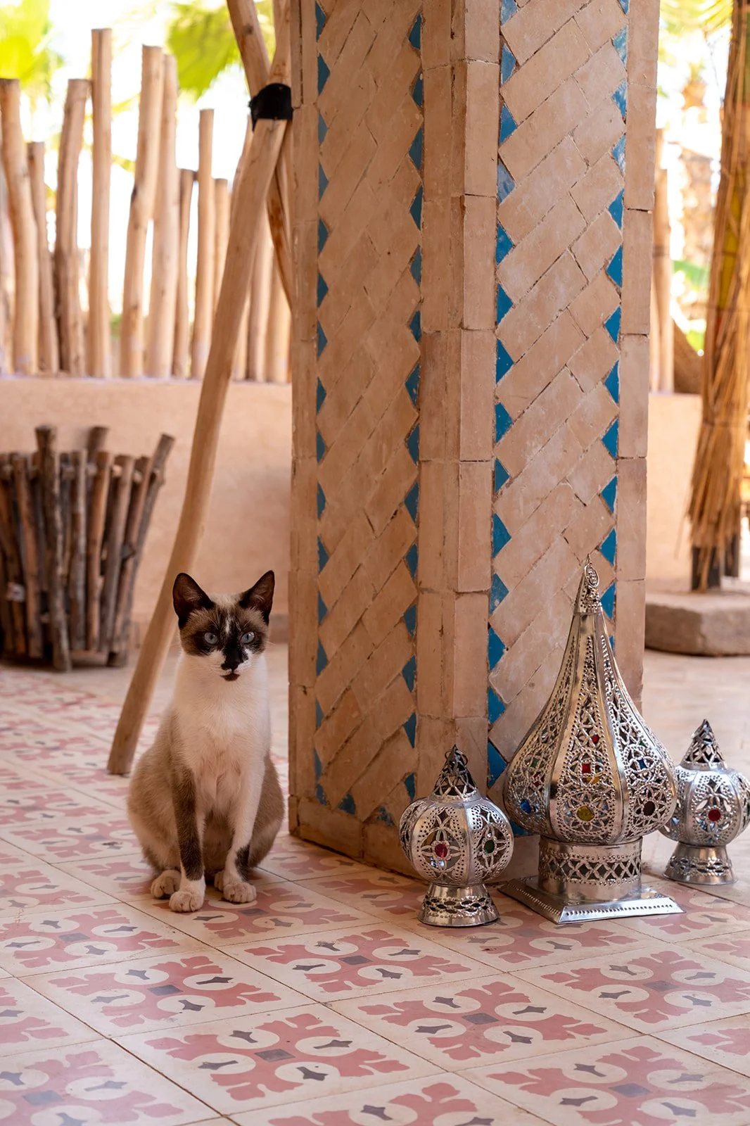 Marrakech -5305_websize.jpg