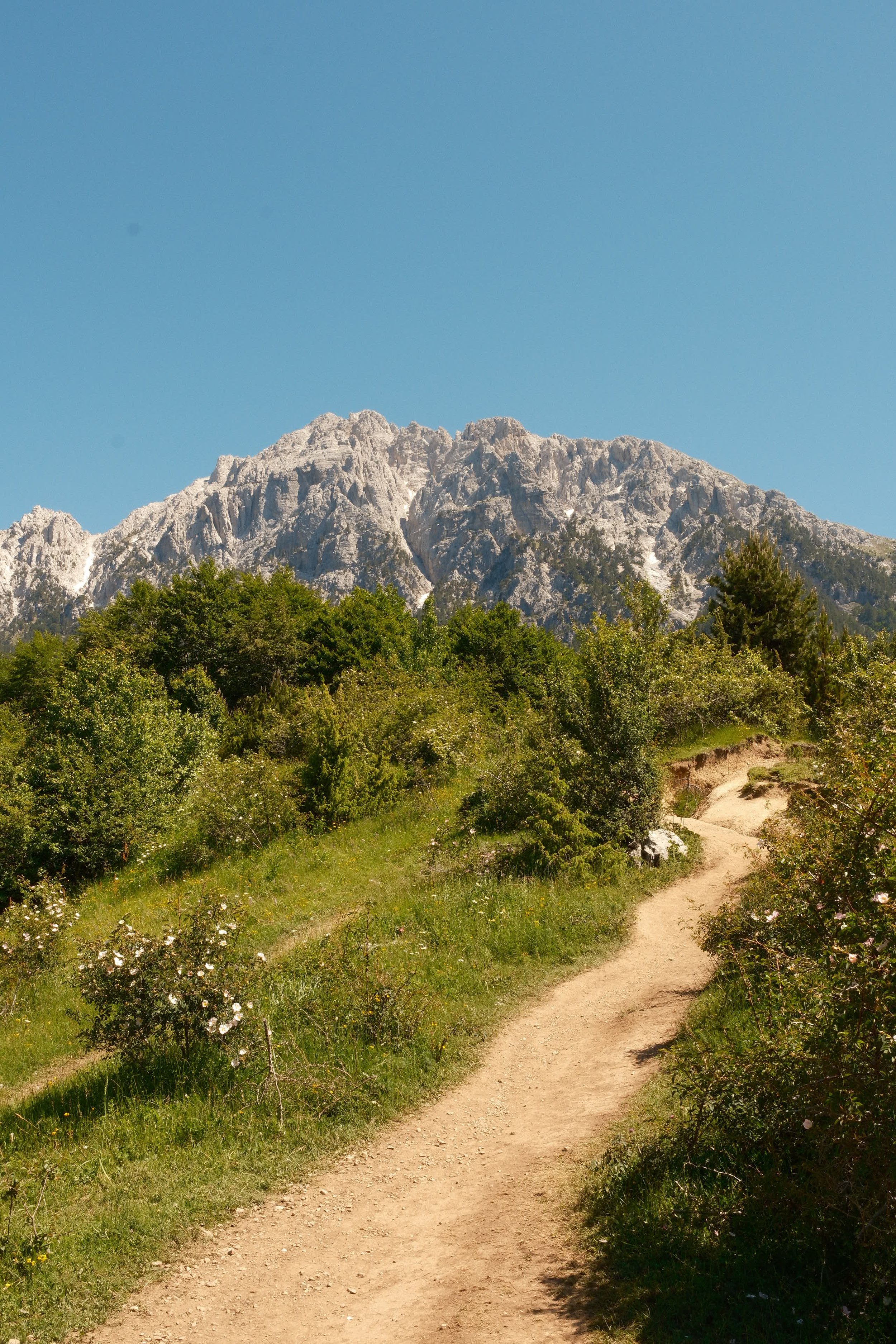 Albanian nature