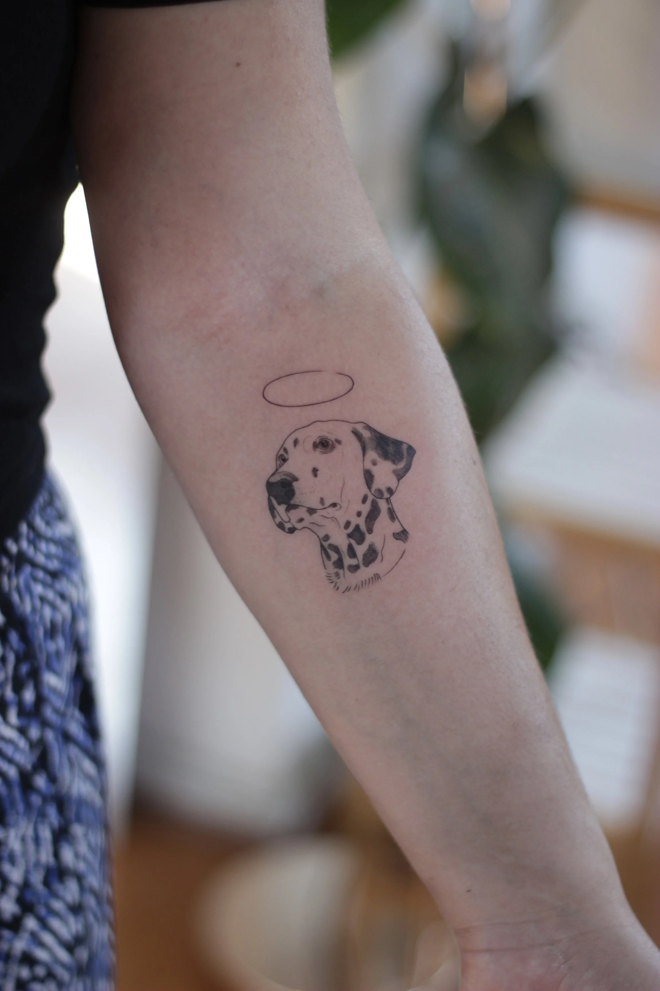 Tatuaje de un perro dálmata con globo de diálogo vacío en el brazo de una persona