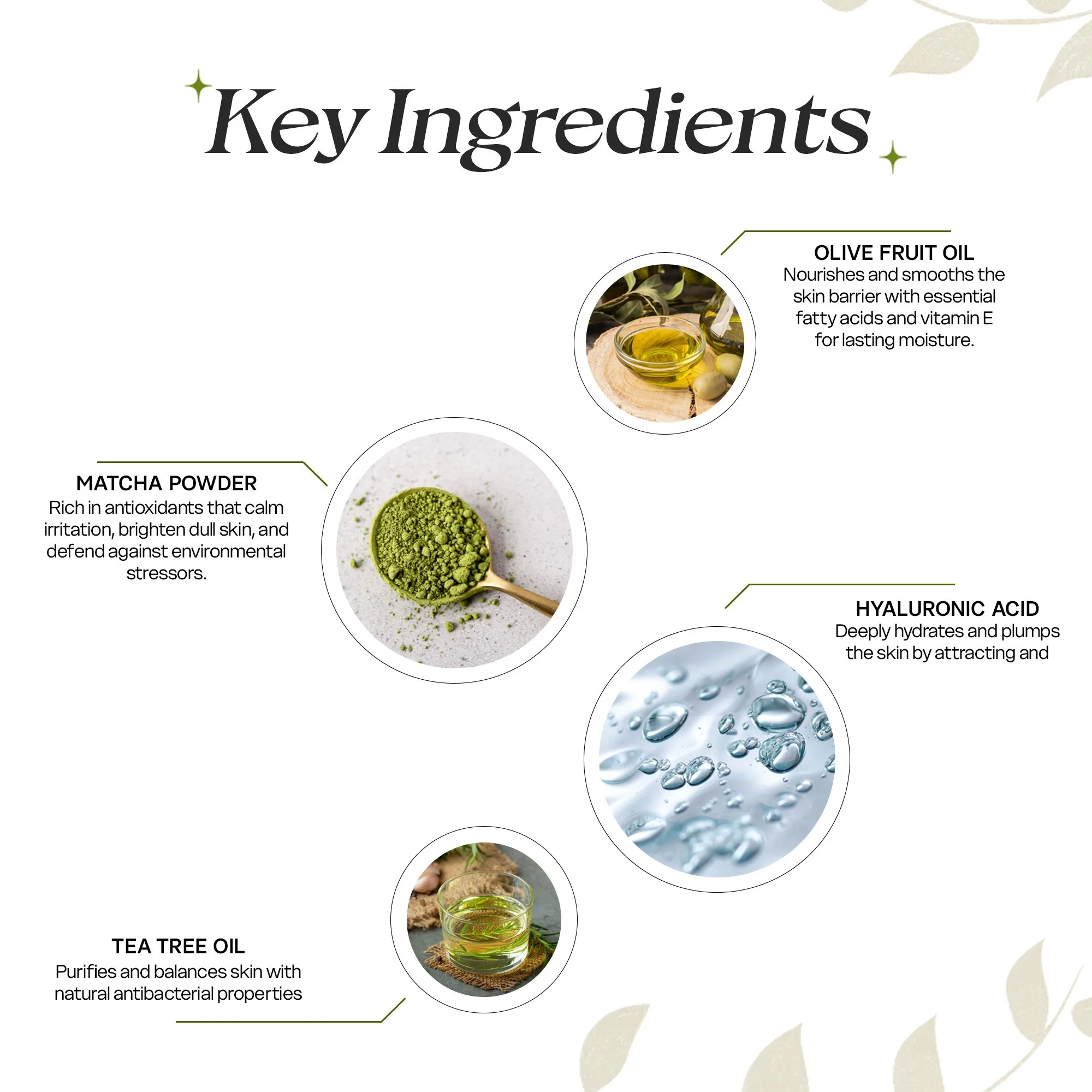 Matcha + SageArtboard 1 copy 3.jpg