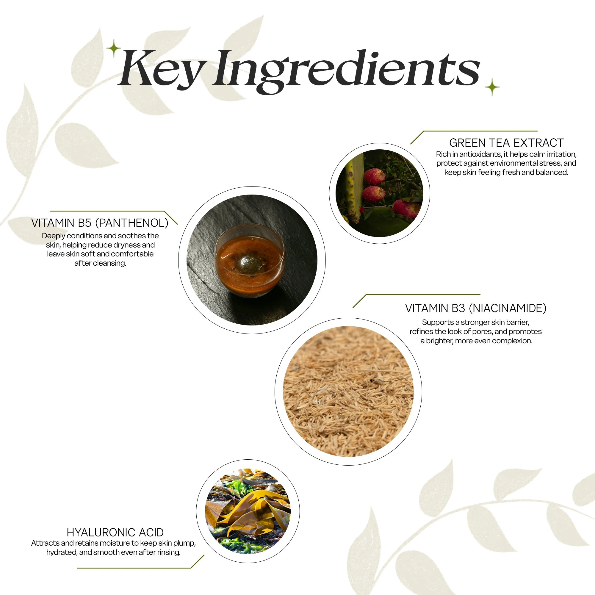 Hyluronic acid +B5Artboard 1 copy 3.jpg