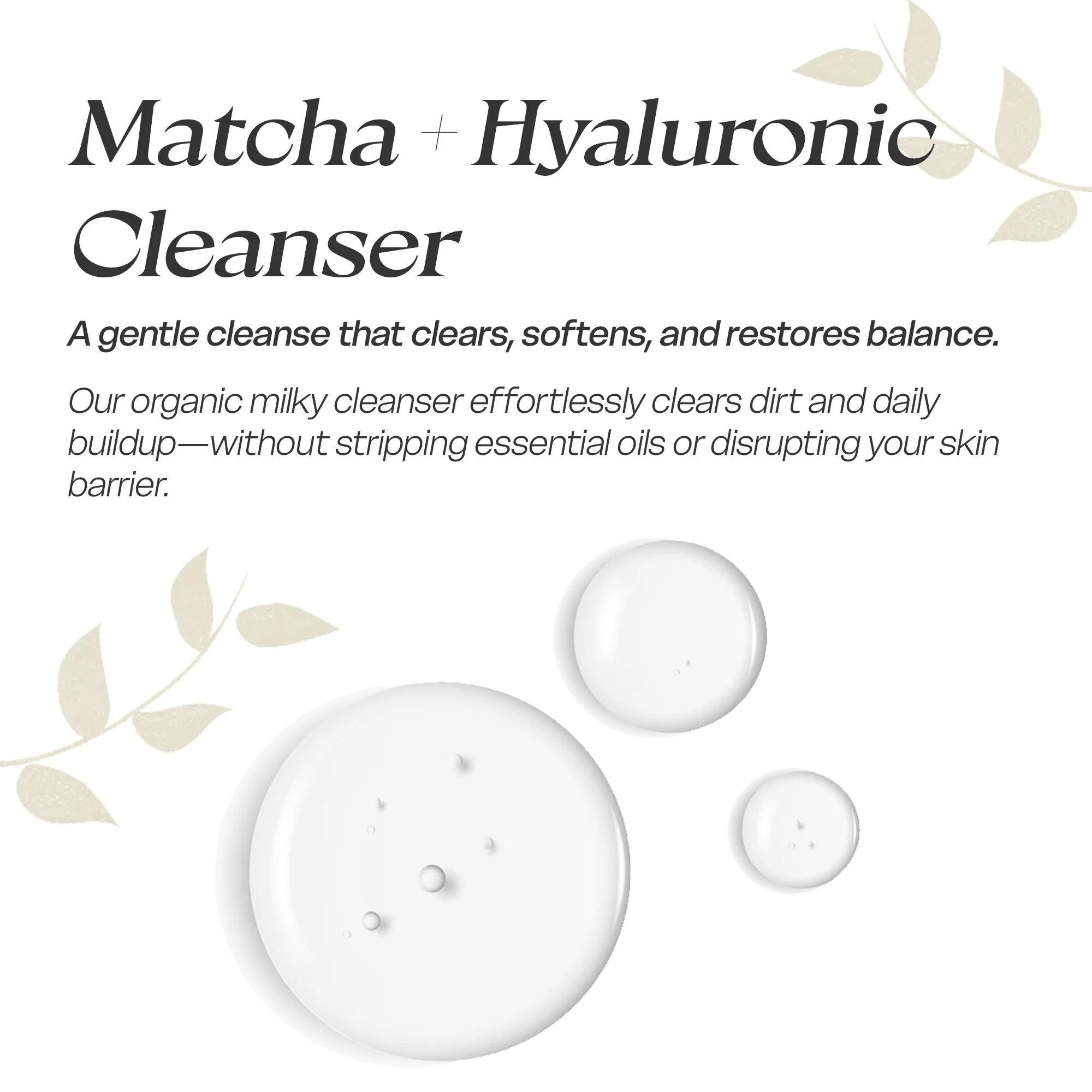 Matcha + SageArtboard 1.jpg