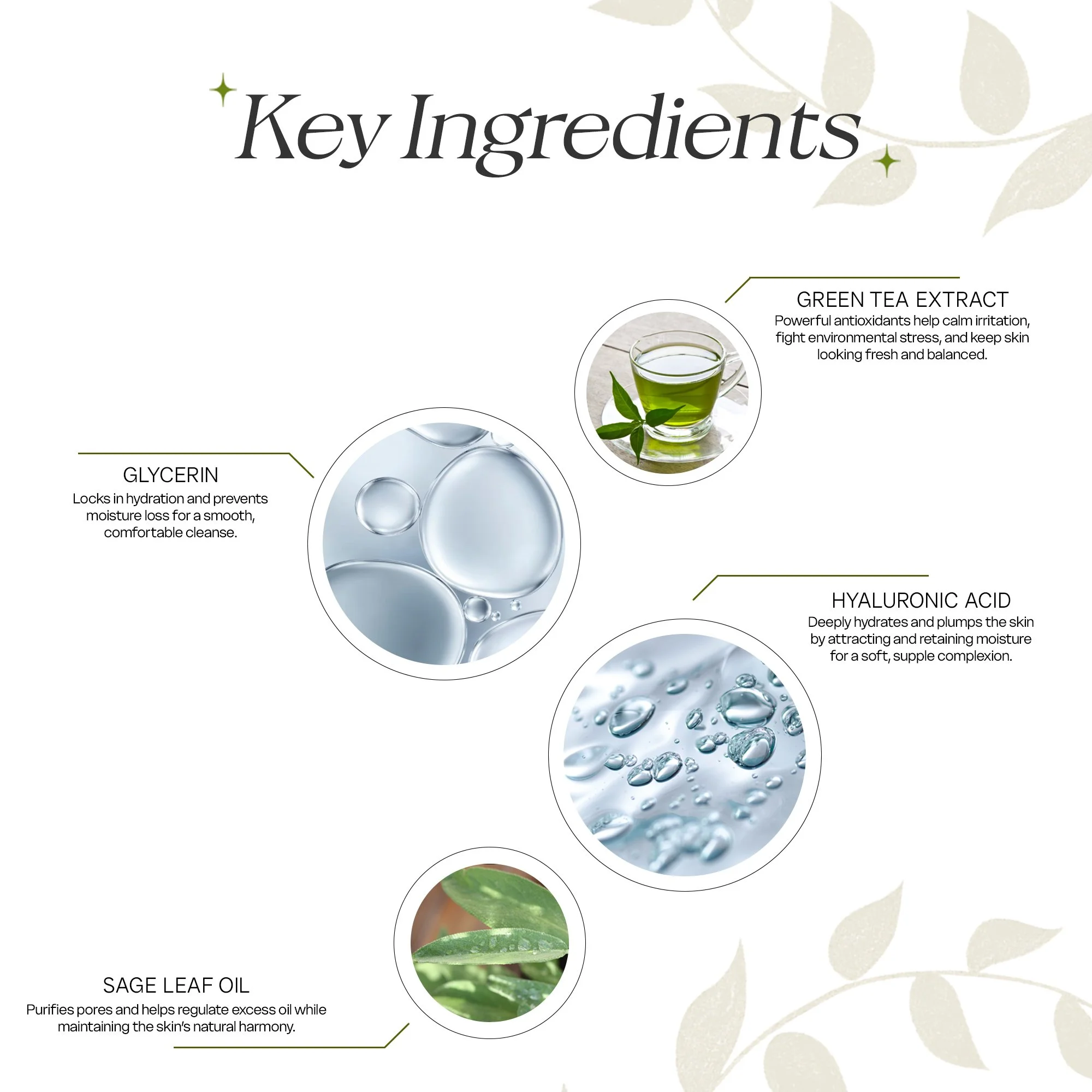 GreenTEa SageArtboard 4.jpg