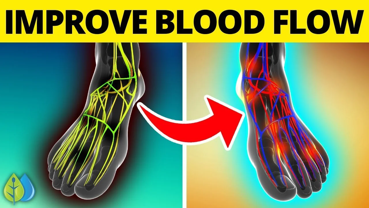 Diagram showing improved blood flow in the foot with highlighted nerves and blood vessels, emphasizing enhanced circulation.