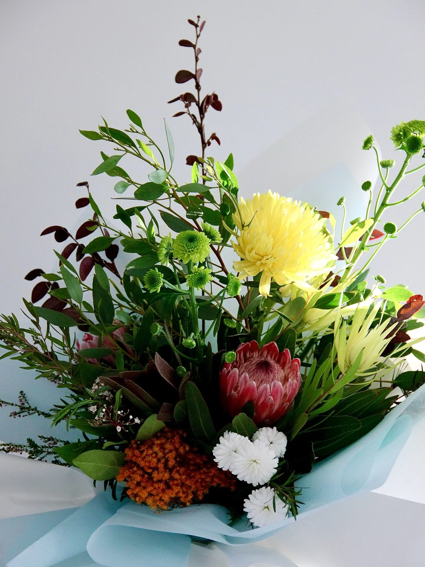Sunkissed mornings and native blooms 🌞 A bouquet of native botanicals catching the first light, wild, warm, and wonderfully untamed ✨

Contact for inquiries via: 
Email: hello@HTstudioau.com 
Phone: 0451602272
Instagram: htstudioau
Facebook: htstudi