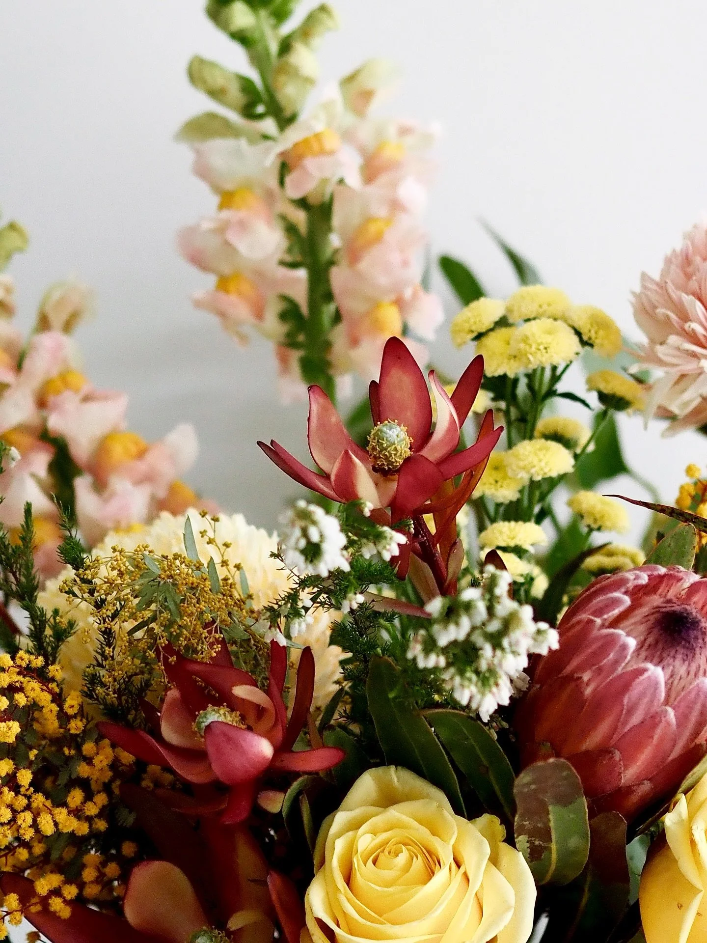 Spring is here and the blooms are starting to show! Stay tuned, something lovely is coming 🌼✨

Contact for inquiries via: 
Email: hello@HTstudioau.com 
Phone: 0451602272
Instagram: htstudioau
Facebook: htstudioau24 

💚 HTS